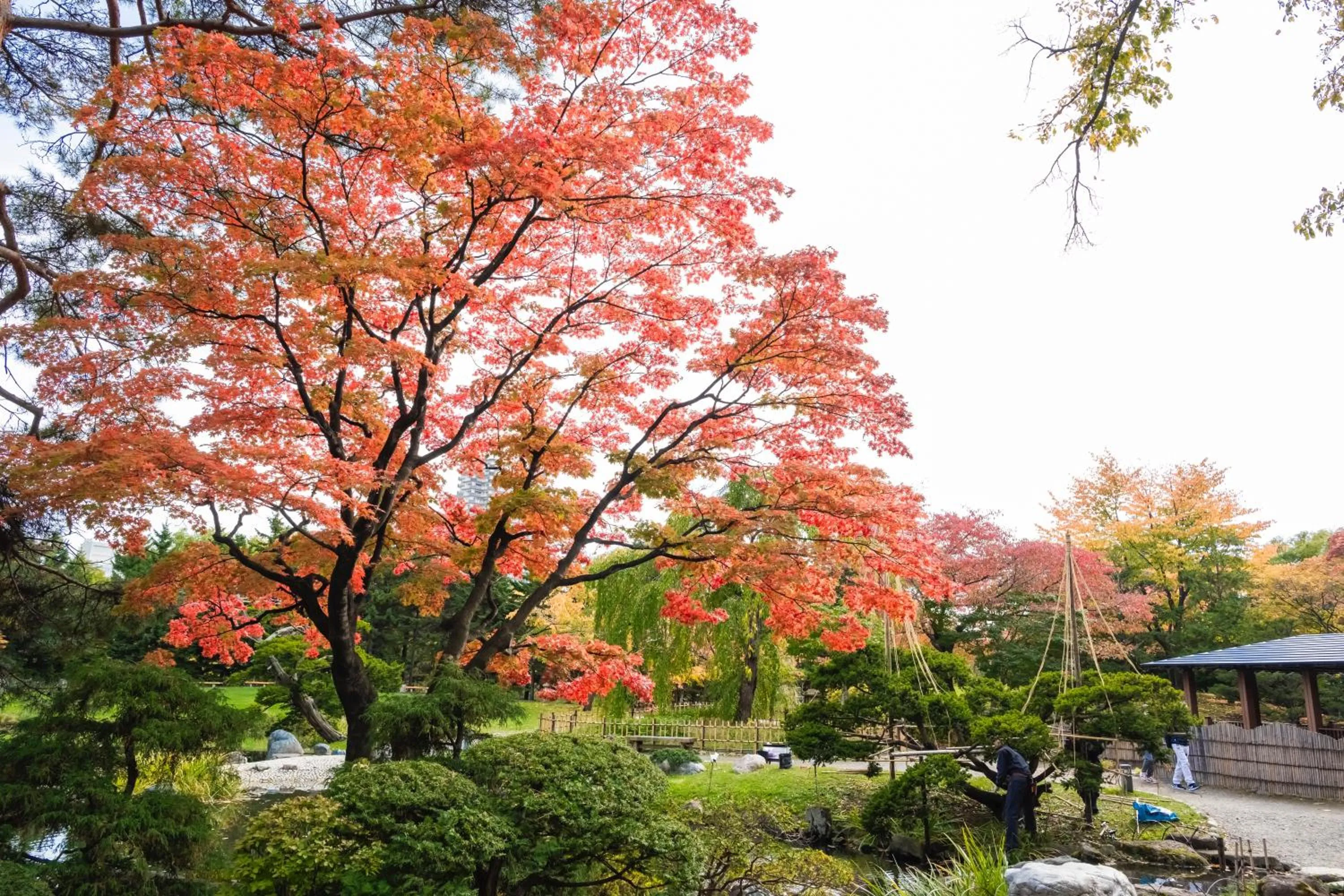 Nearby landmark in HOTEL MYSTAYS Sapporo Nakajima Park