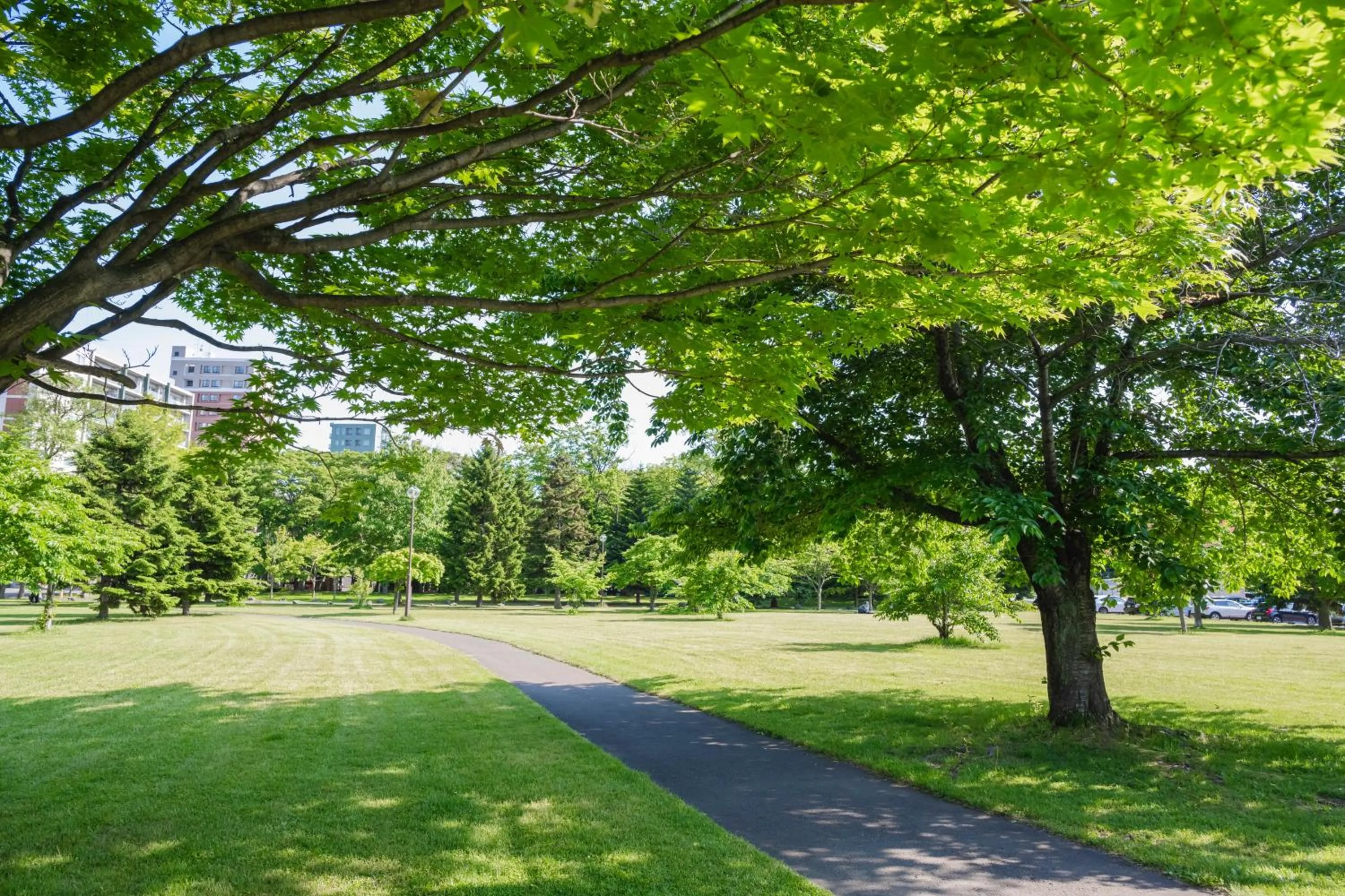 Nearby landmark in HOTEL MYSTAYS Sapporo Nakajima Park