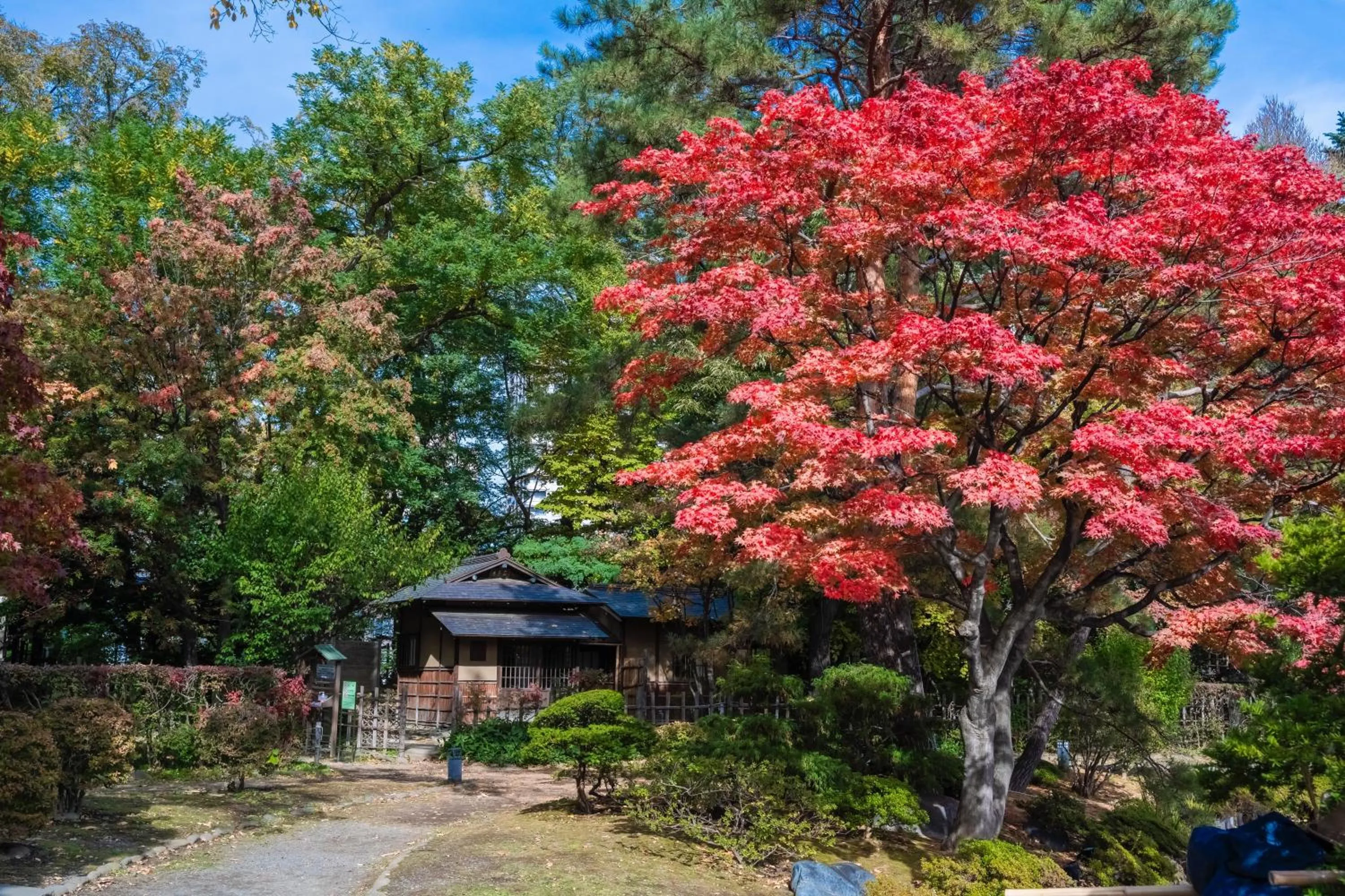 Nearby landmark in HOTEL MYSTAYS Sapporo Nakajima Park