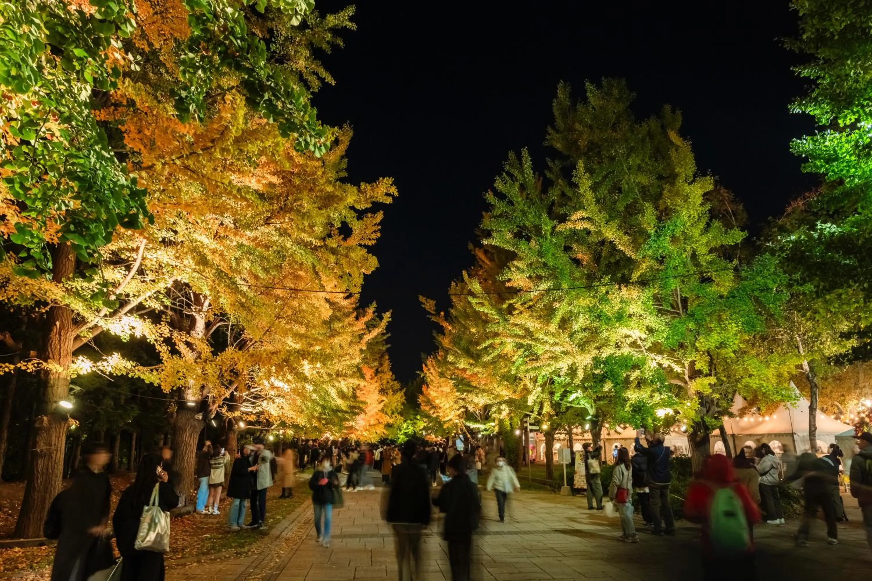 Nearby landmark in HOTEL MYSTAYS Sapporo Nakajima Park