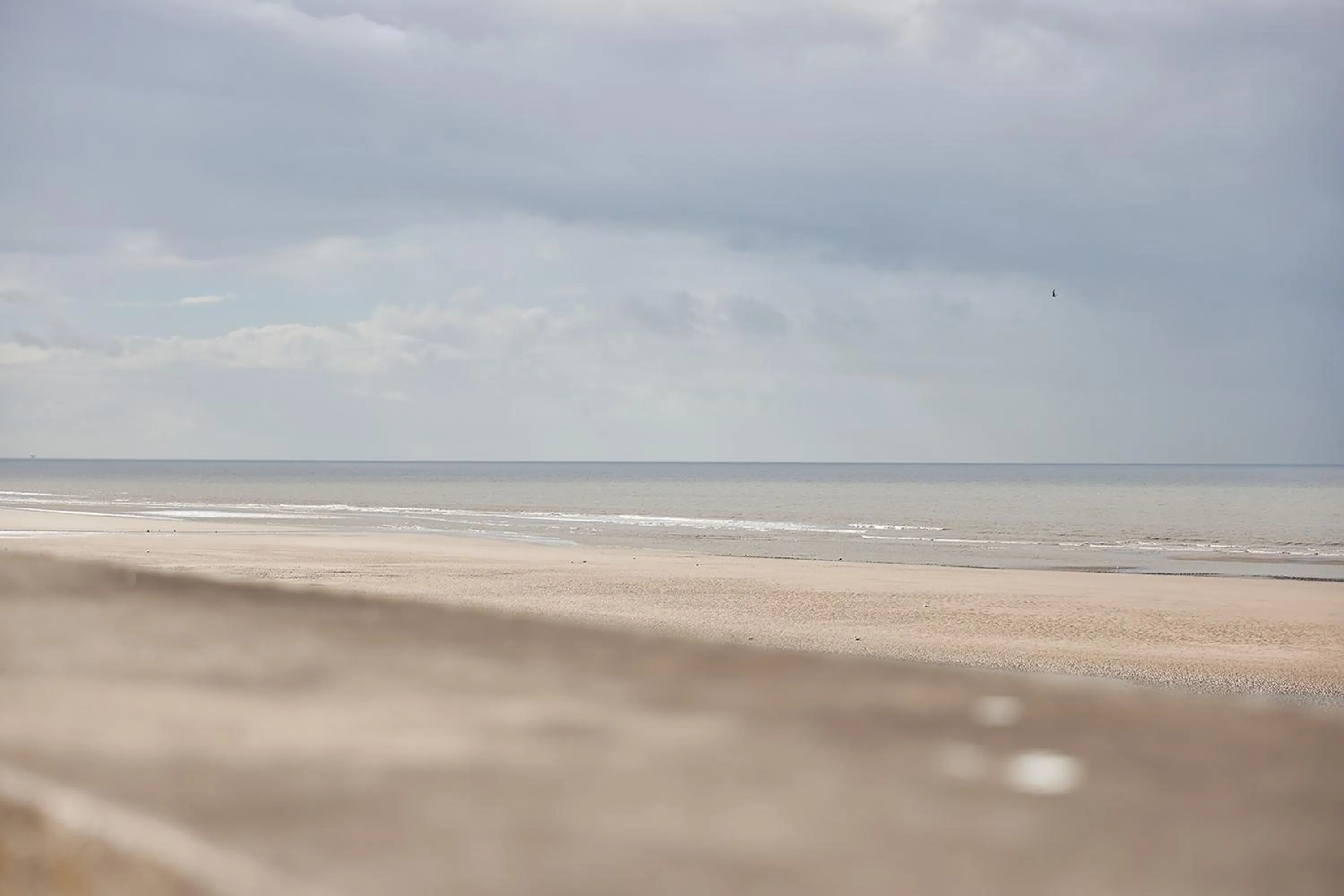 Natural landscape in Pleasure Holiday Apartments