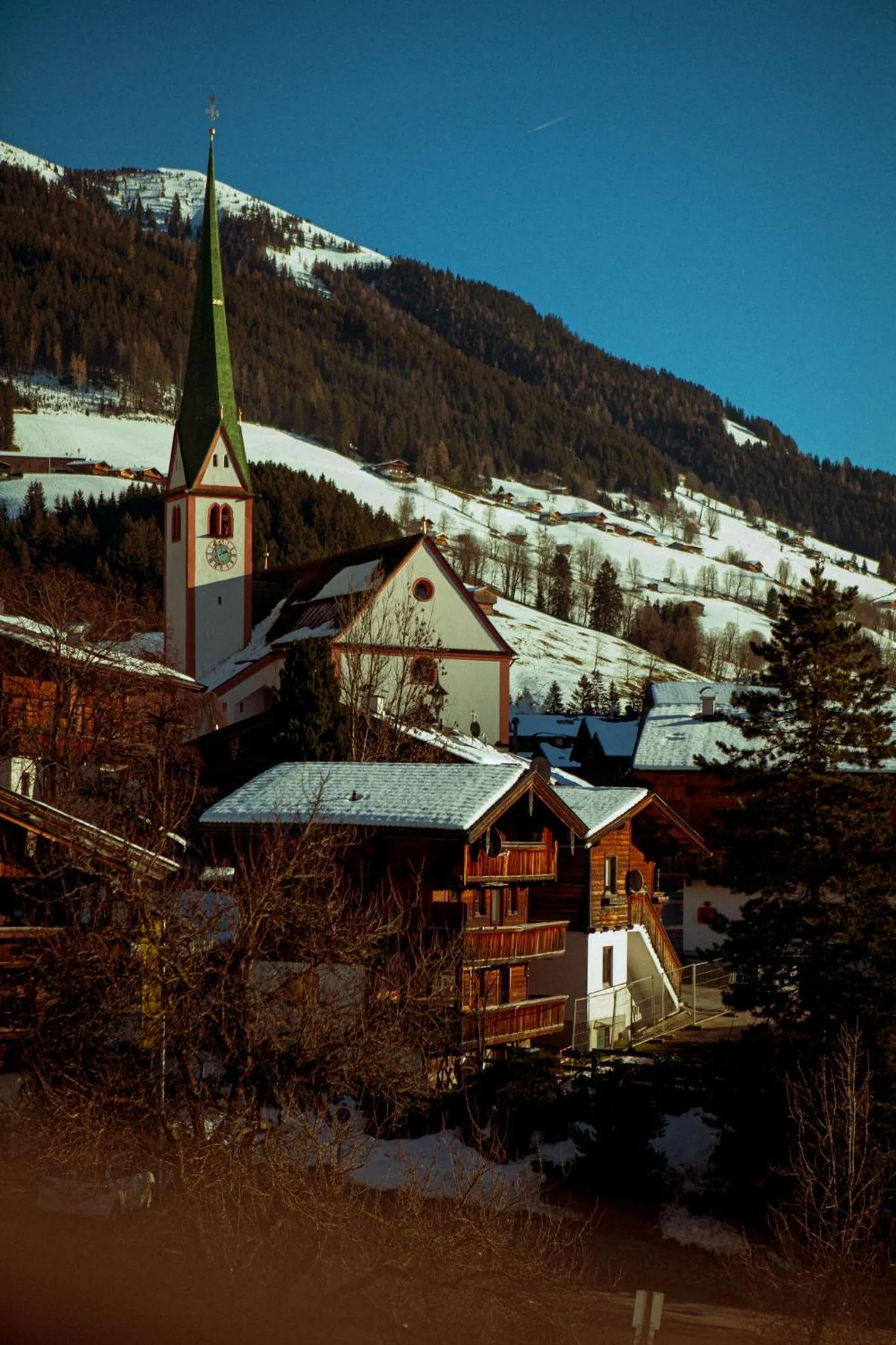 Natural landscape in Hotel Zur Post