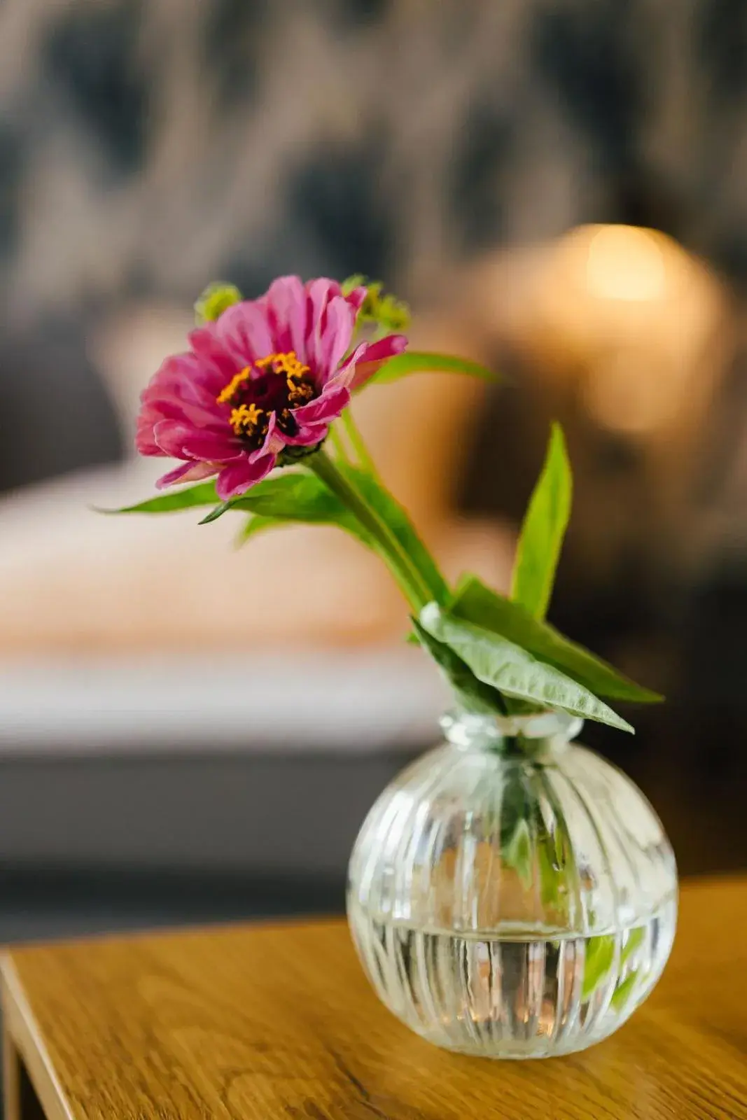 Single Room in Hotel Rabenstein Single Room in Hotel Rabenstein