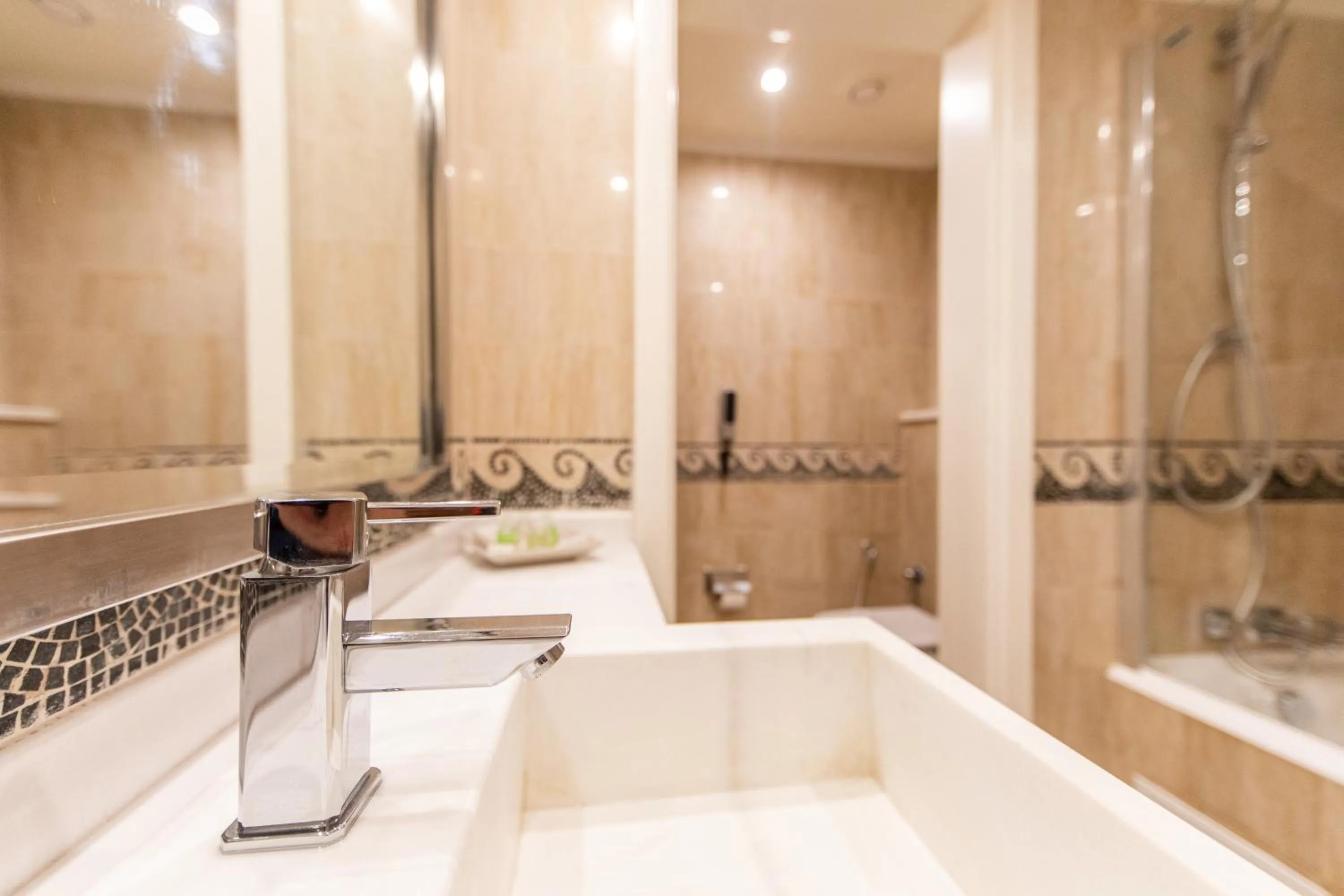 Shower in Acropole Tunis