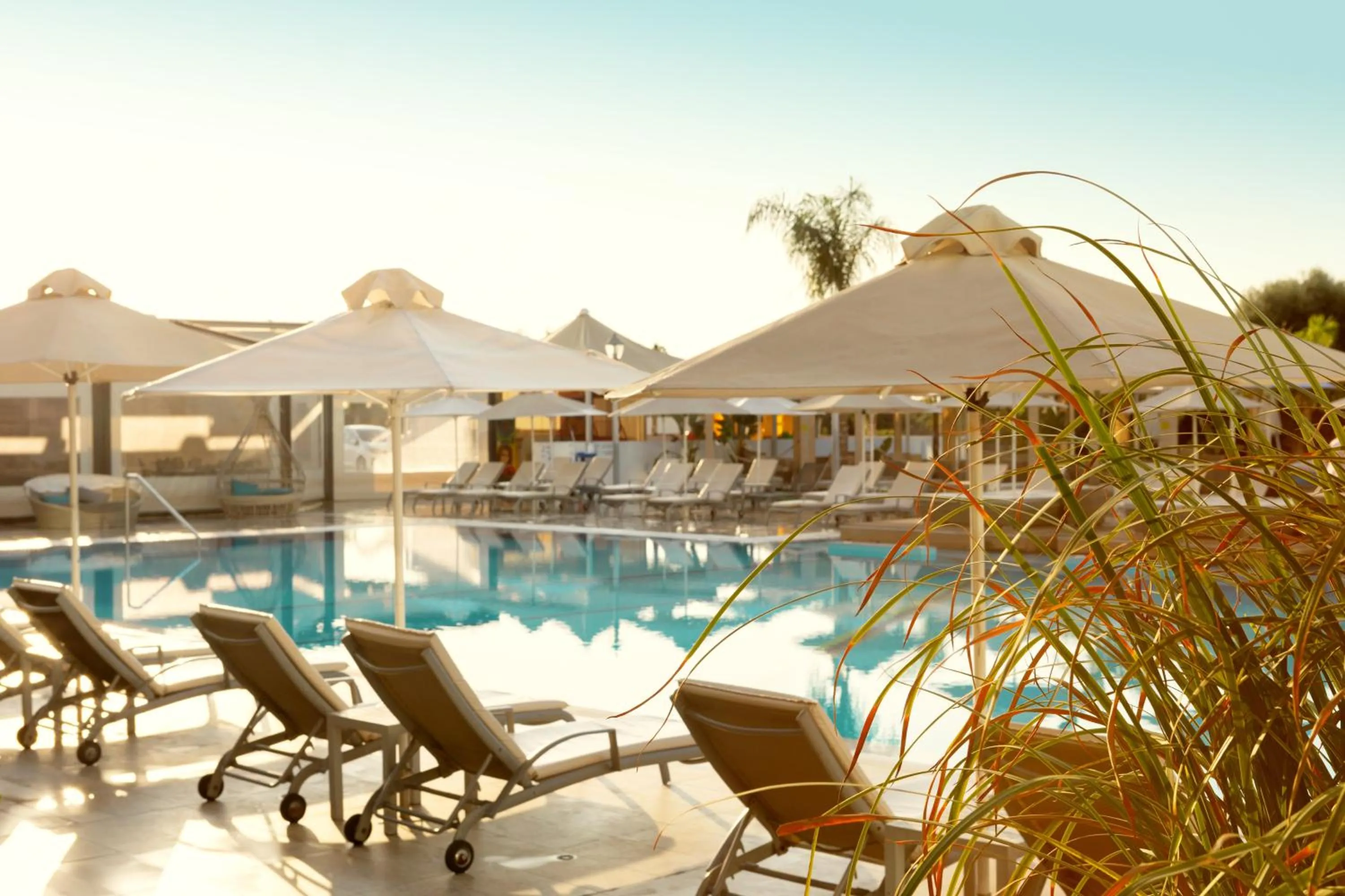 Pool view in Amethyst Napa Hotel & Spa