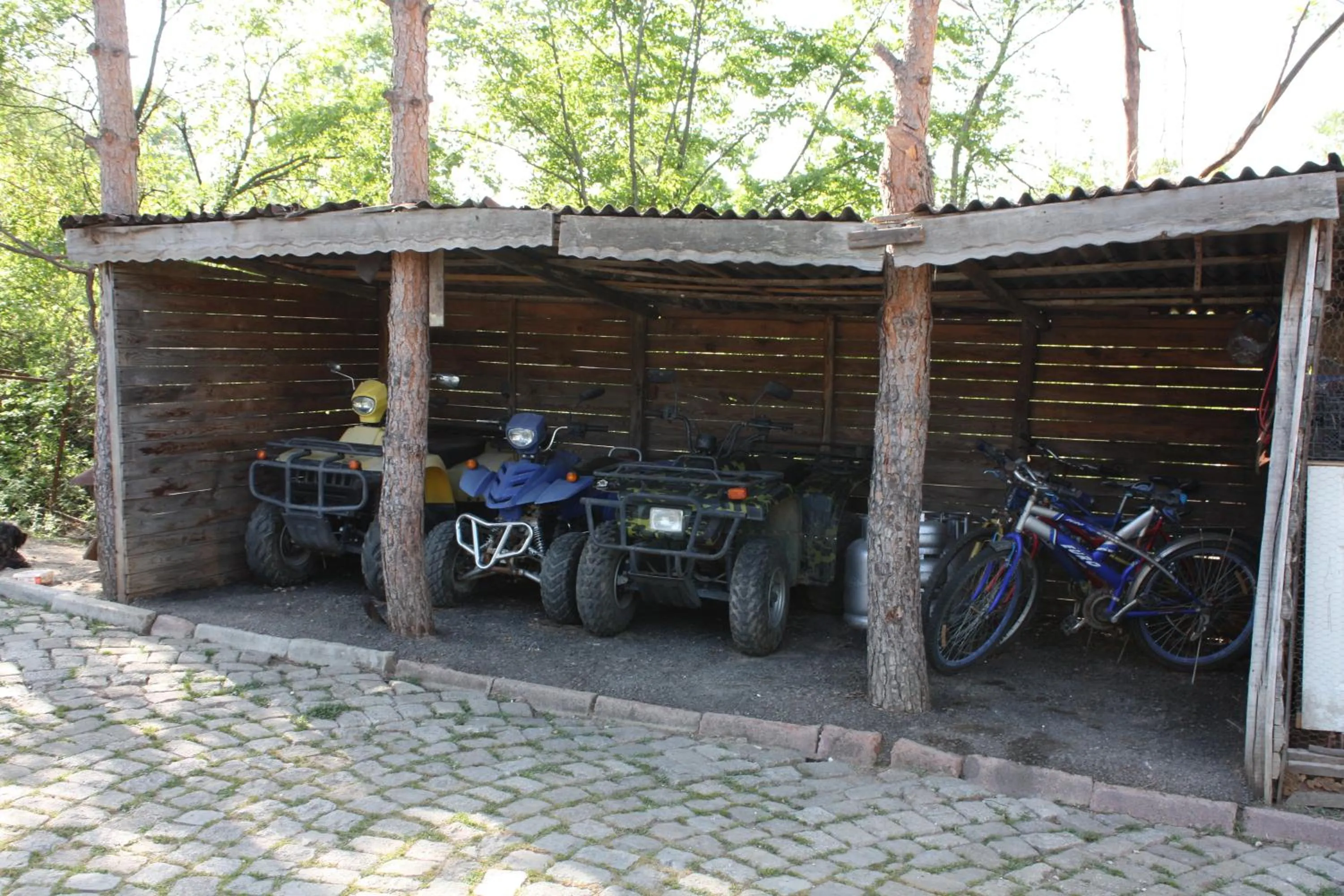 Day in Kaltur Boutique Hotel