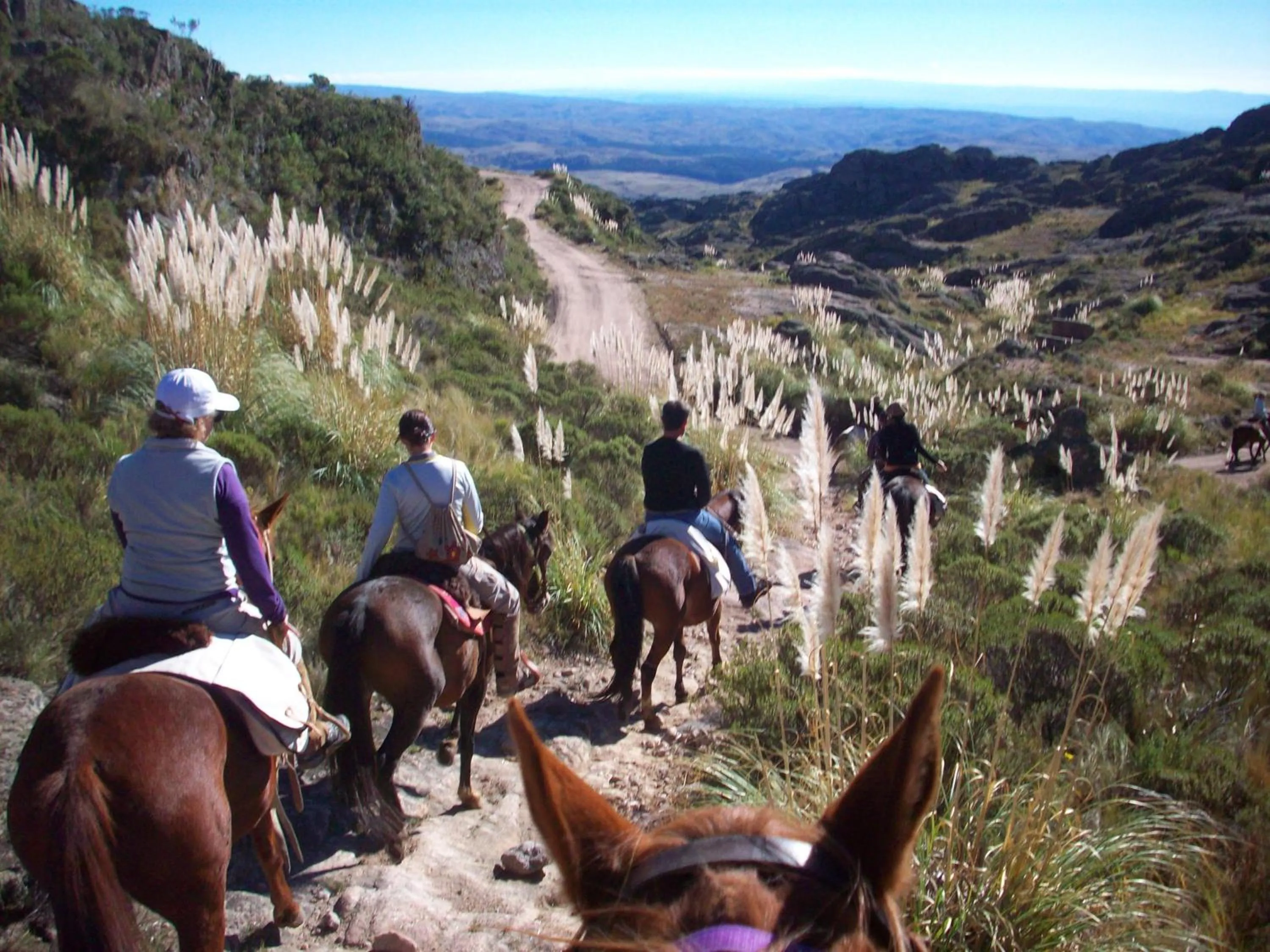 Horse-riding in La Posada Del Qenti