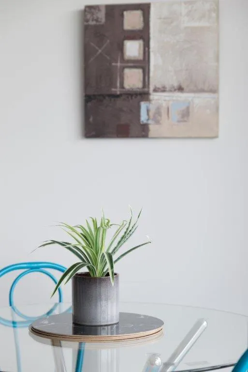 Tasha's Apartments on Morphett