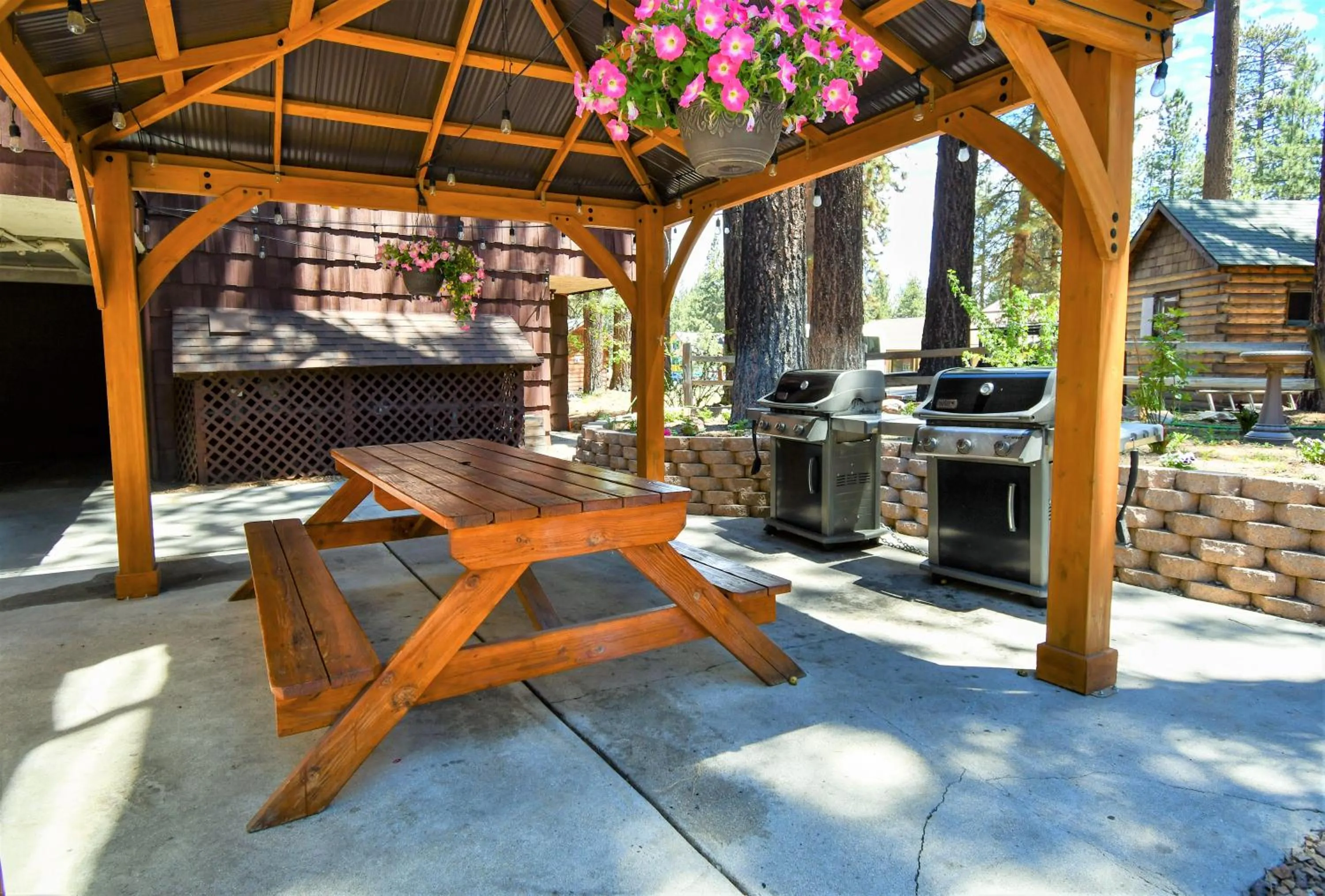 BBQ facilities in Snow Lake Lodge