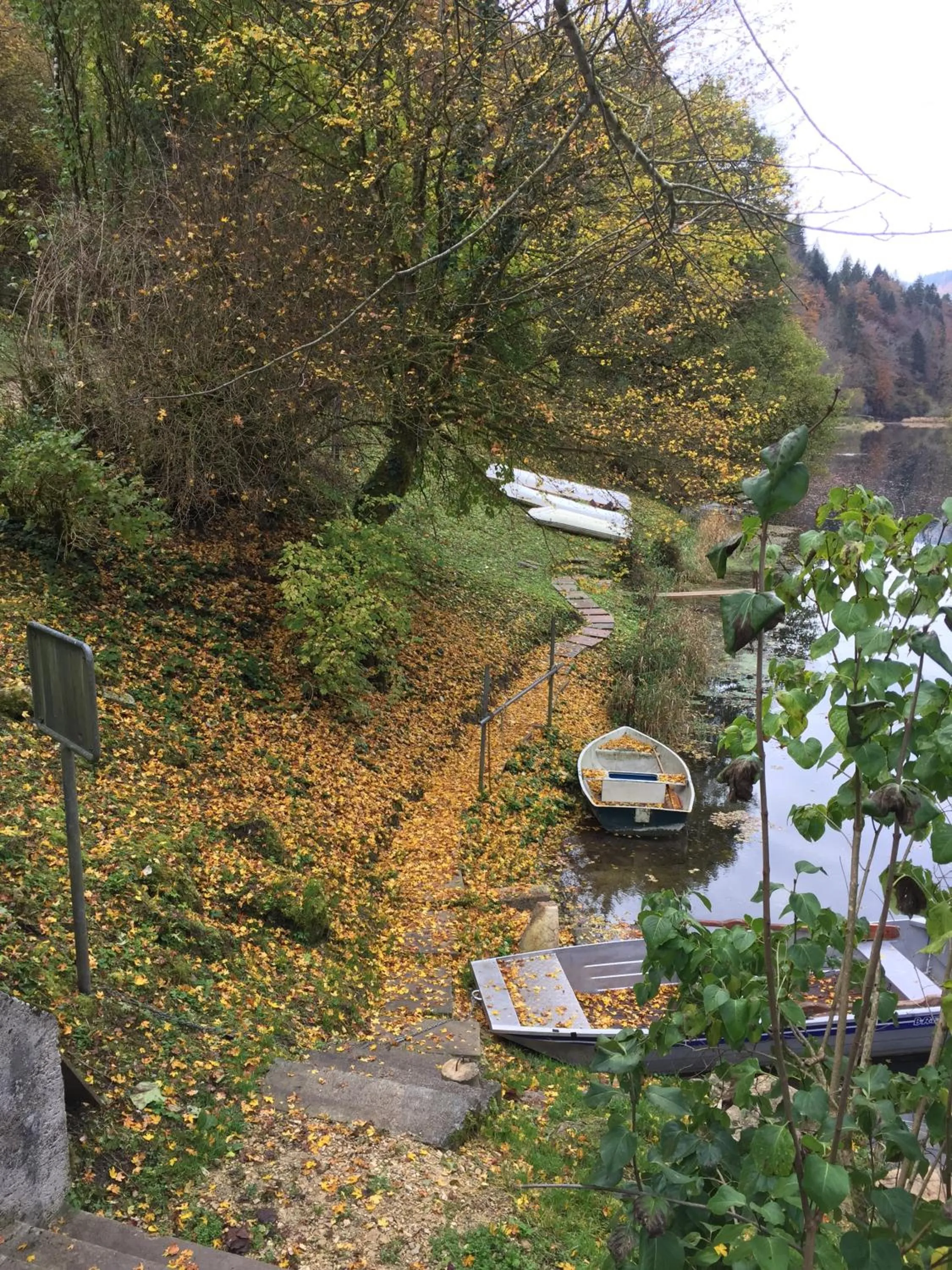 Area and facilities in Auberge de la Bouege