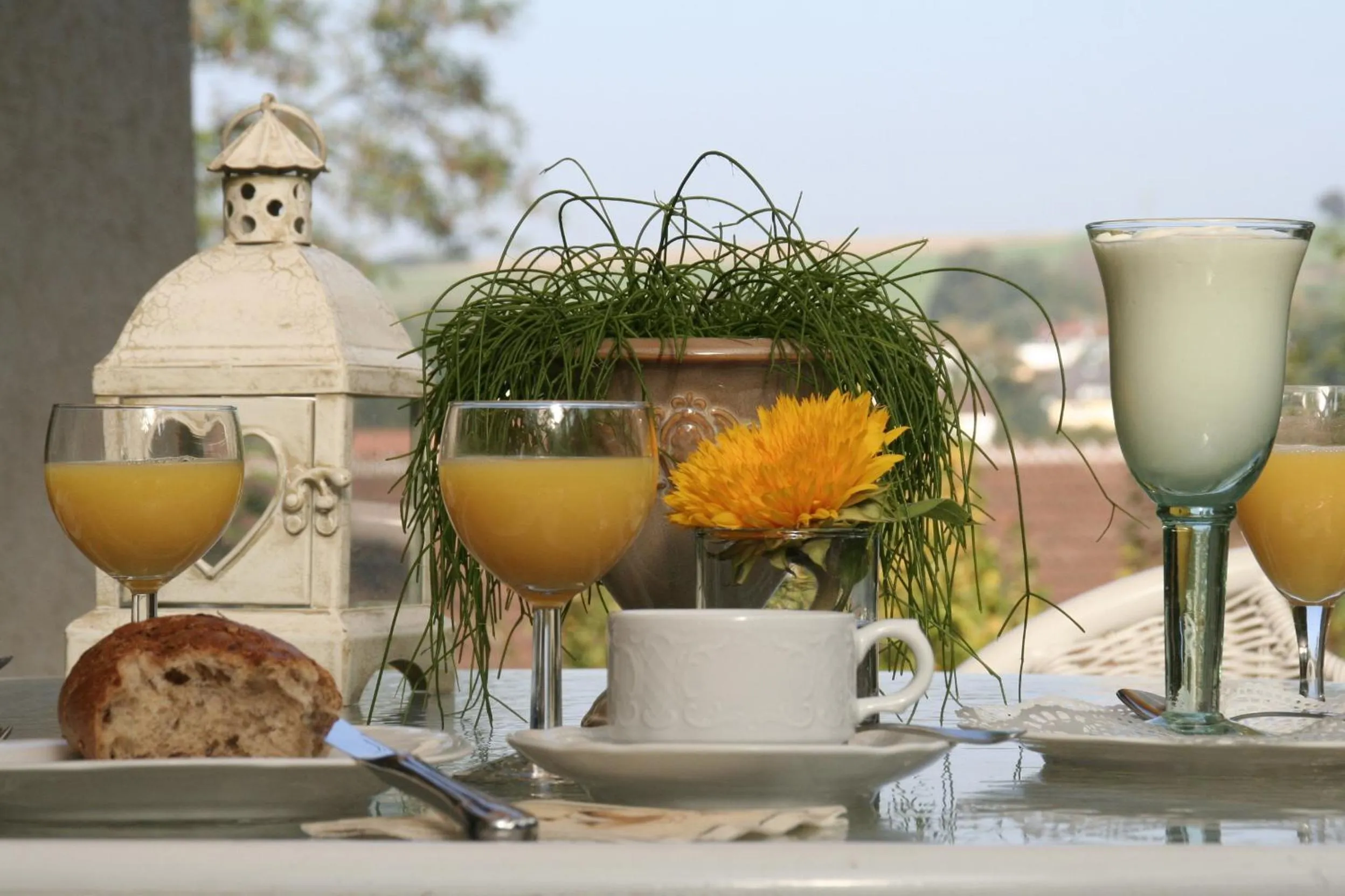 Food and drinks in Hotel Schweizerhof