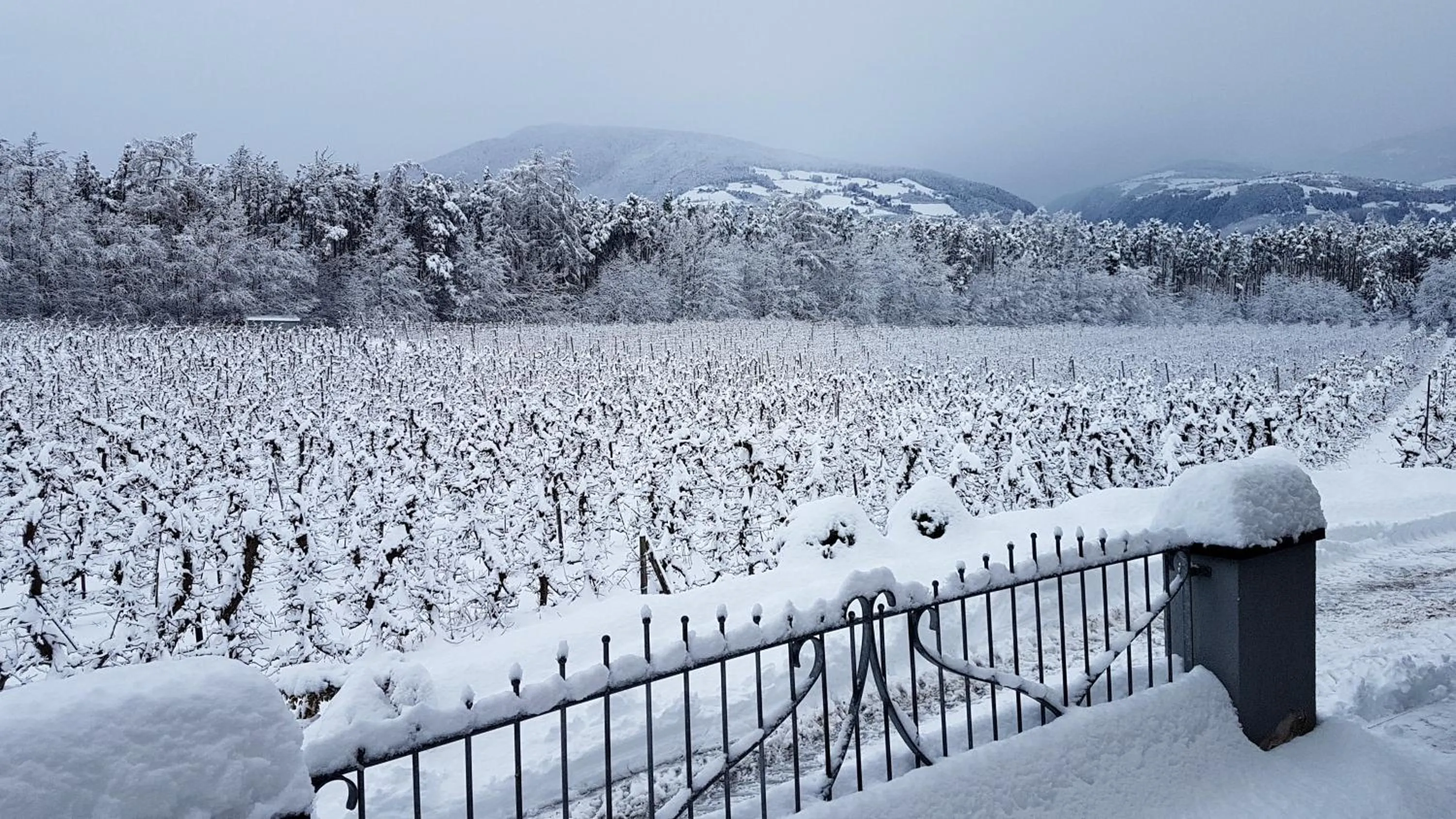 Winter in Hotel Flötscherhof