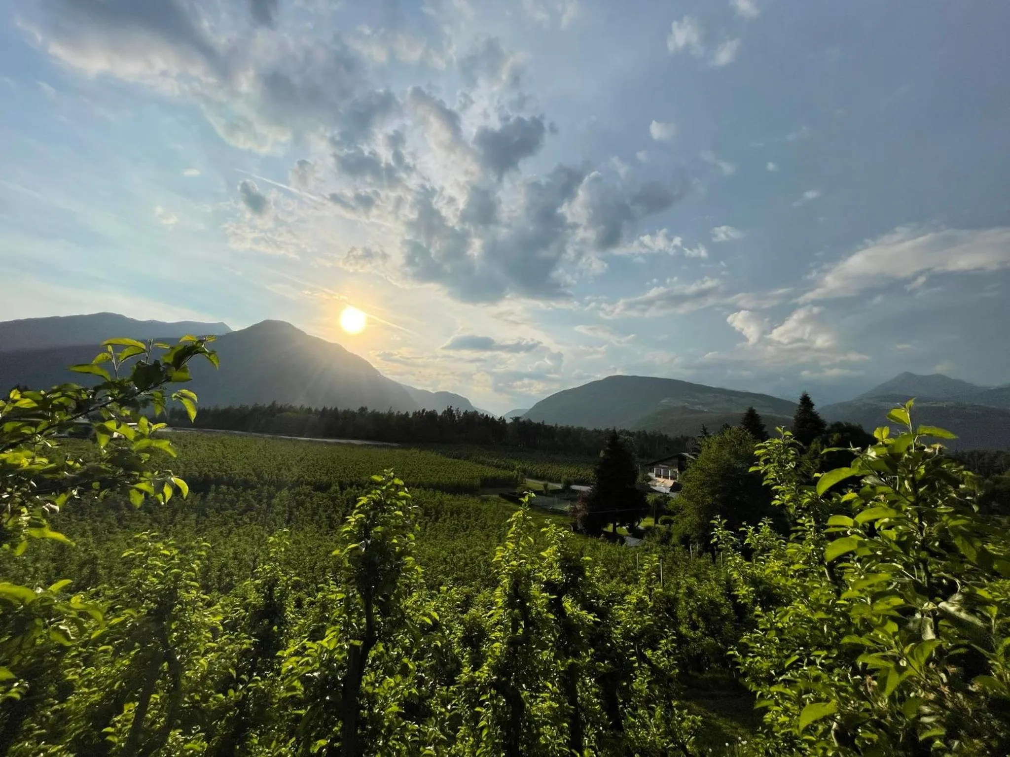 Natural landscape in Hotel Flötscherhof