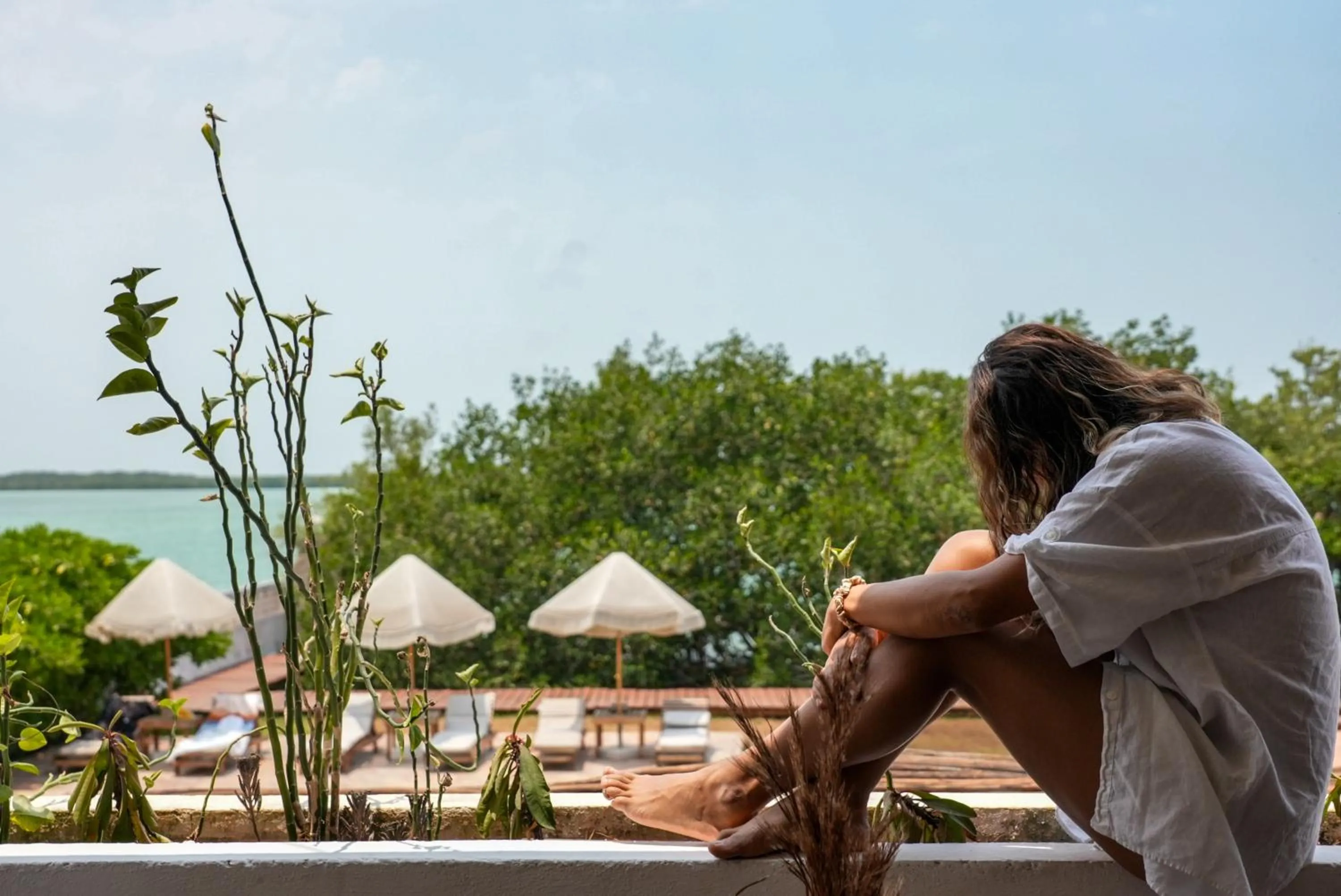 Day in Hotel Rio Lagartos