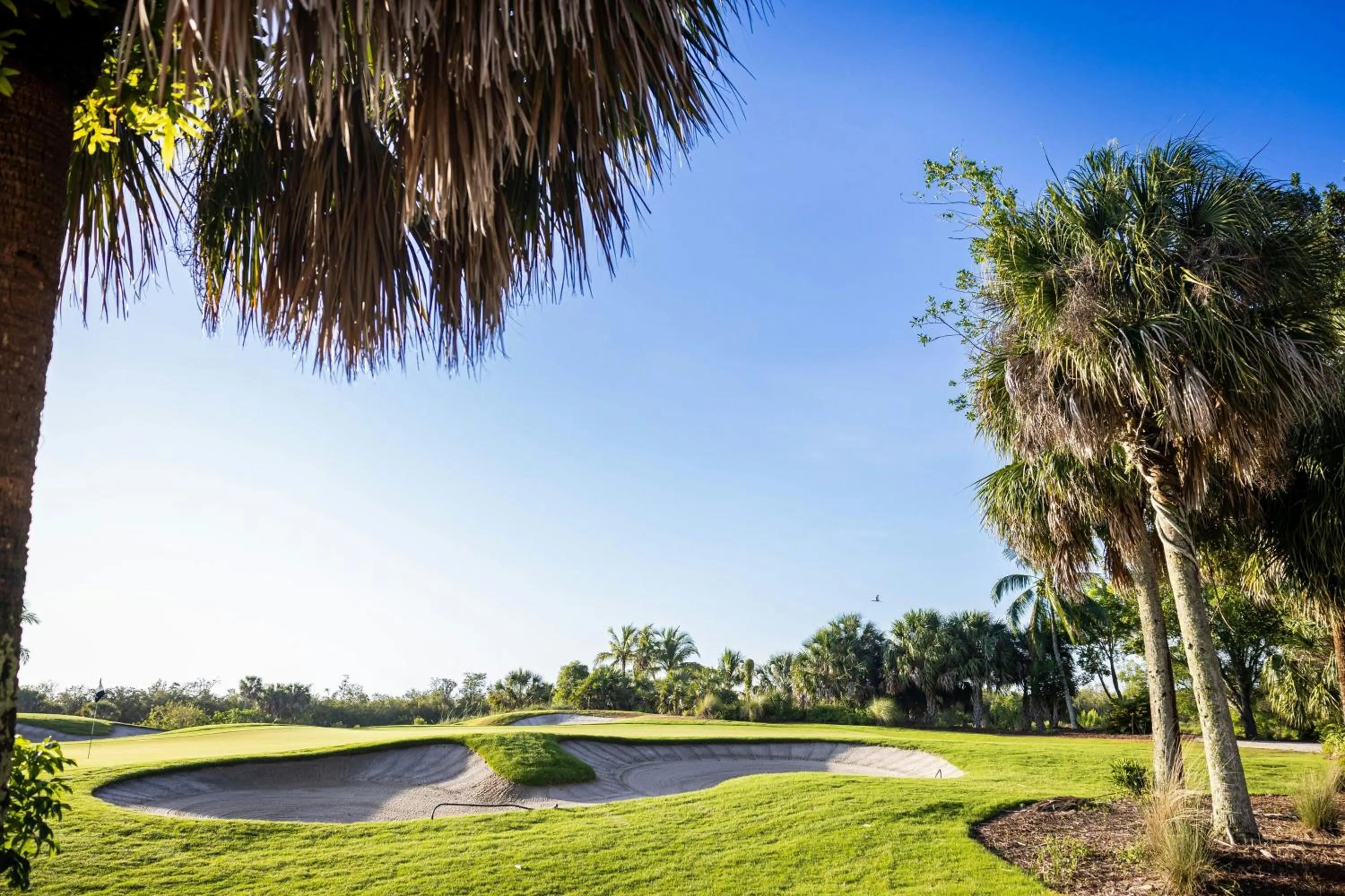 Other in JW Marriott Marco Island Beach Resort