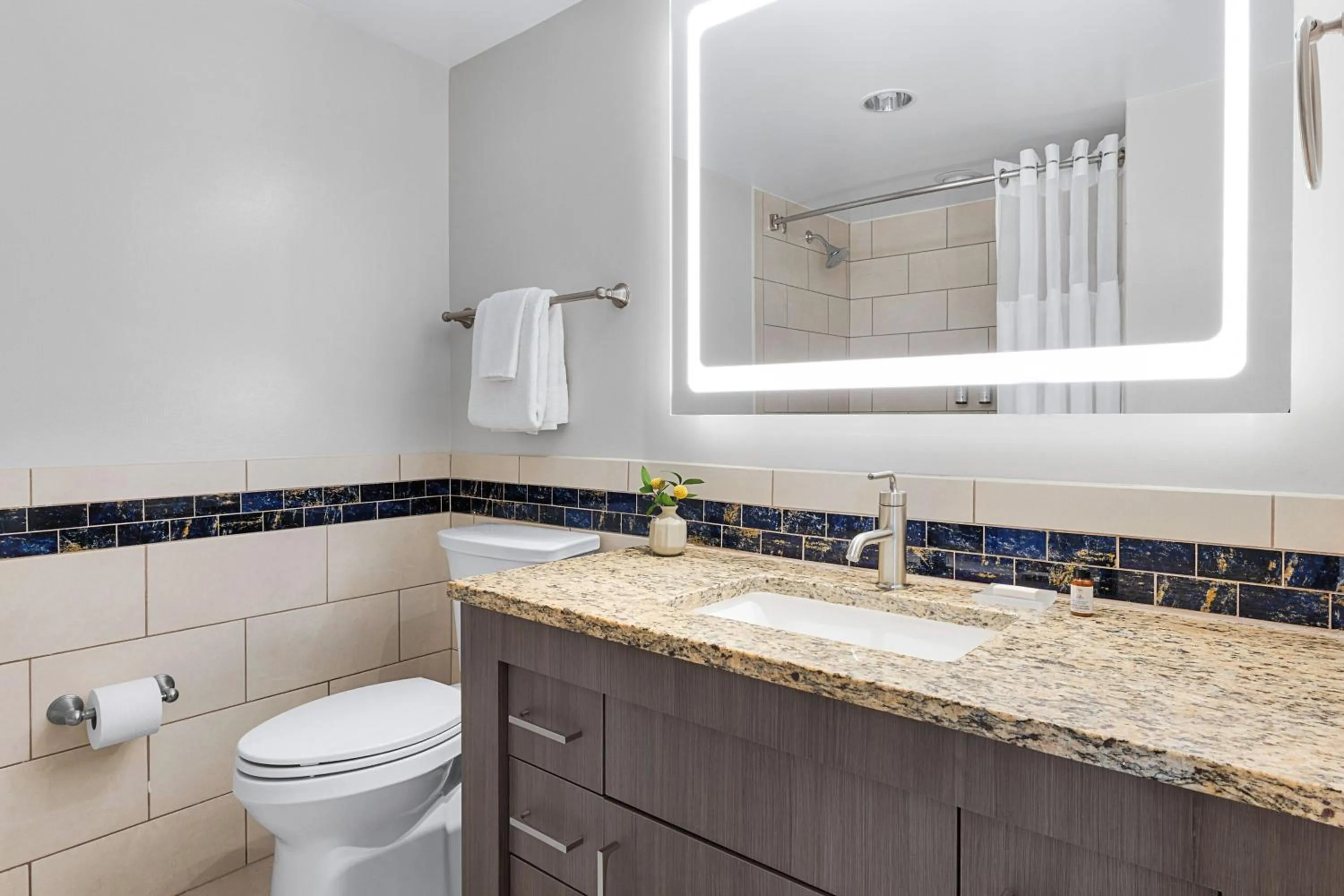 Bathroom in Marriott's Crystal Shores