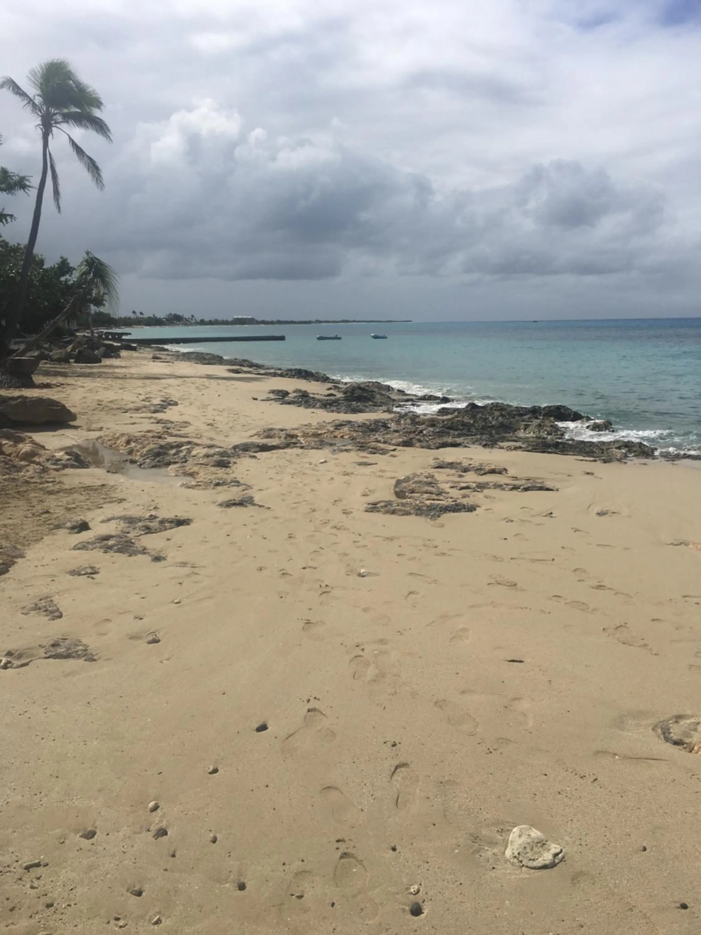 Beach in The Fred - Adults only Hotel