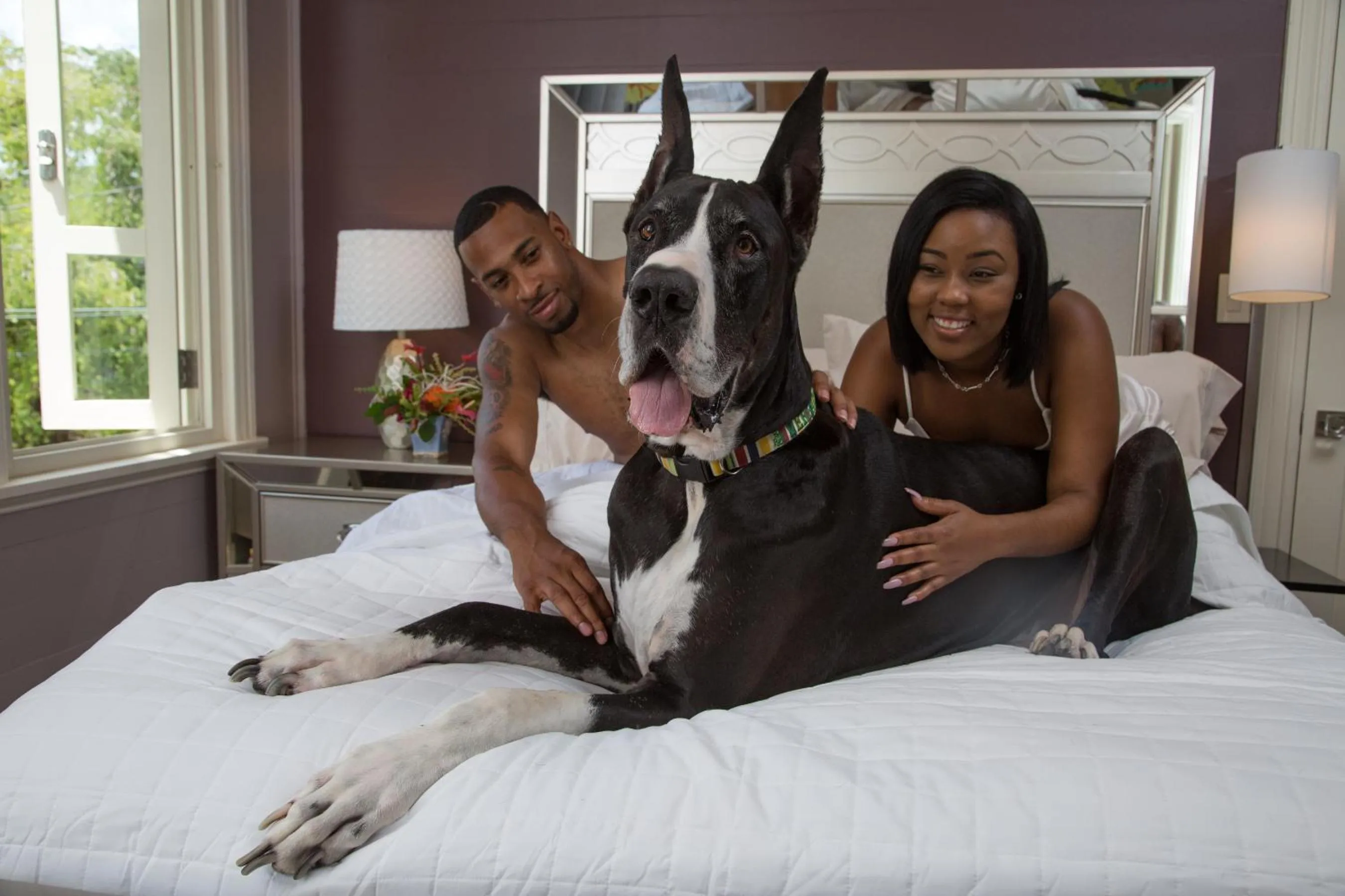 Bed in The Fred - Adults only Hotel