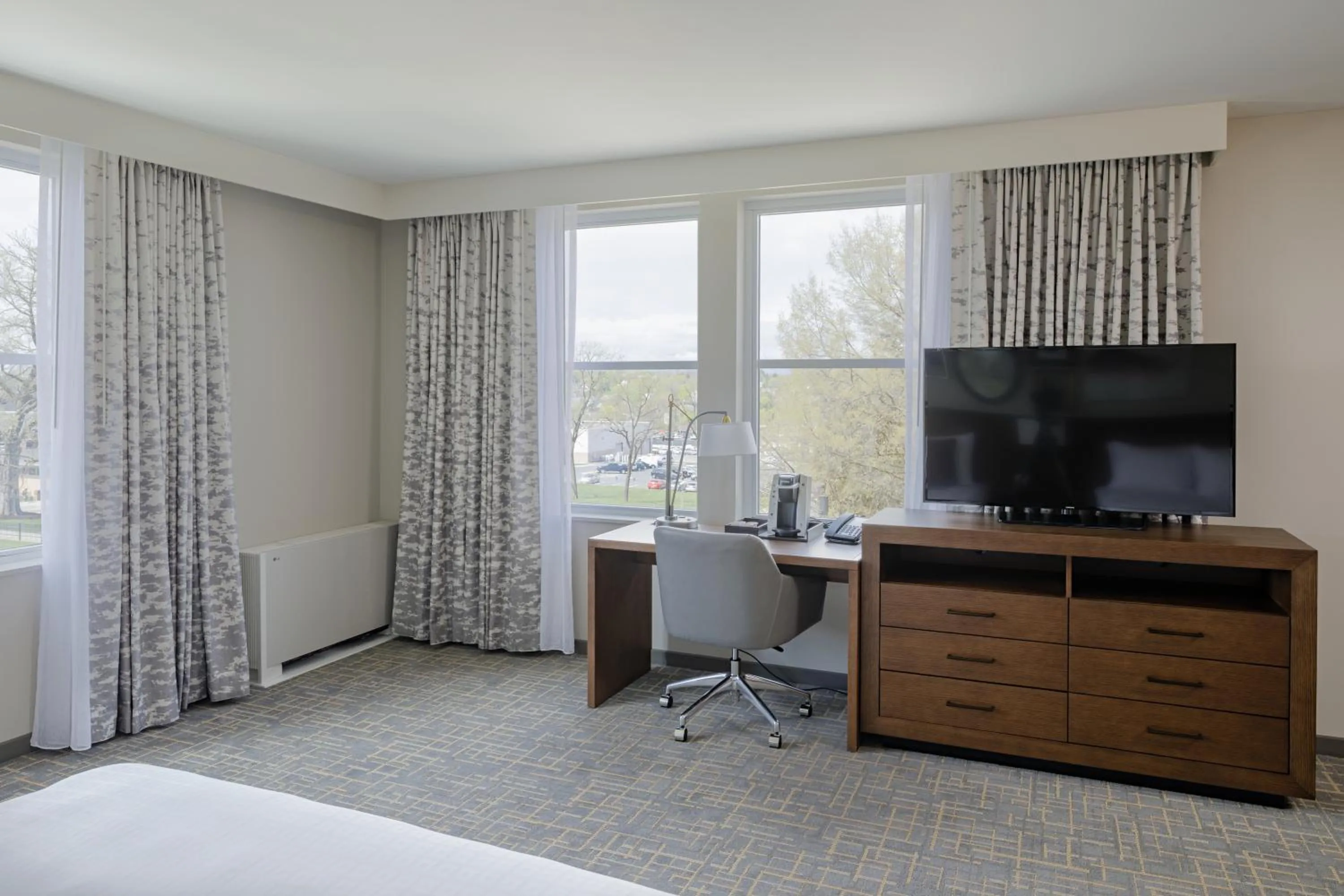 TV and multimedia, Bed in Hotel Madison & Shenandoah Conference Ctr.