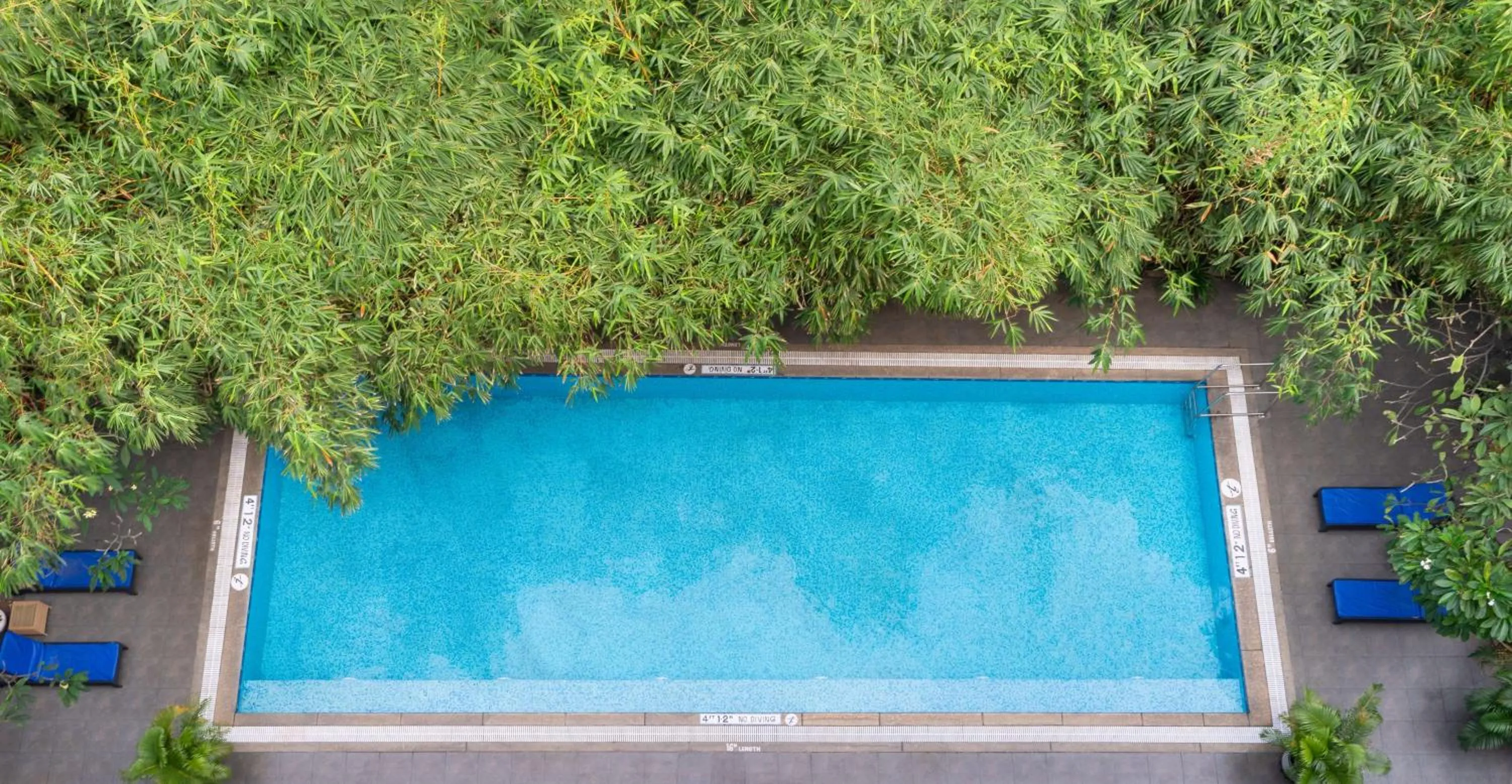 Pool view in Park Plaza Chennai OMR