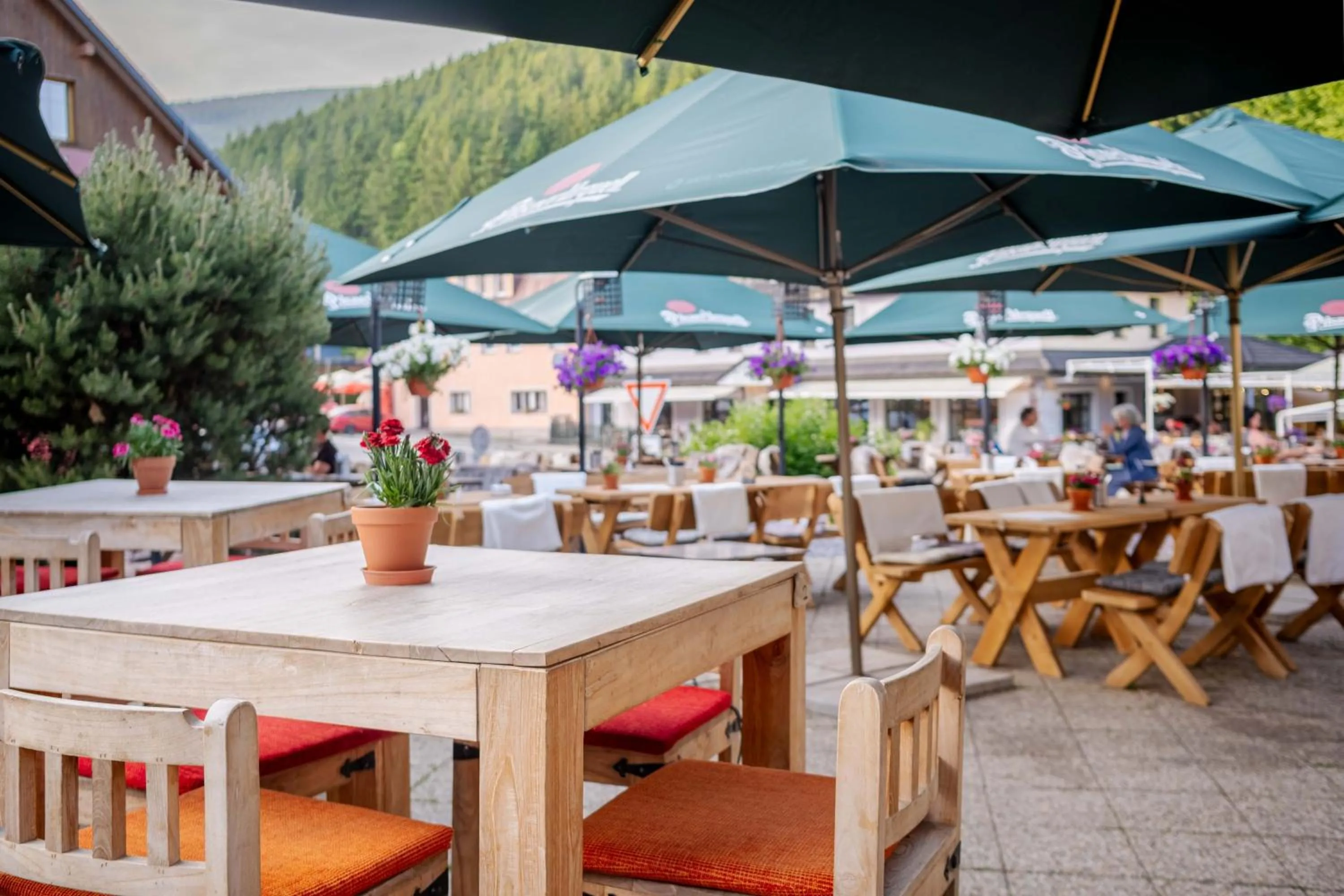 Balcony/Terrace in Hotel Hořec