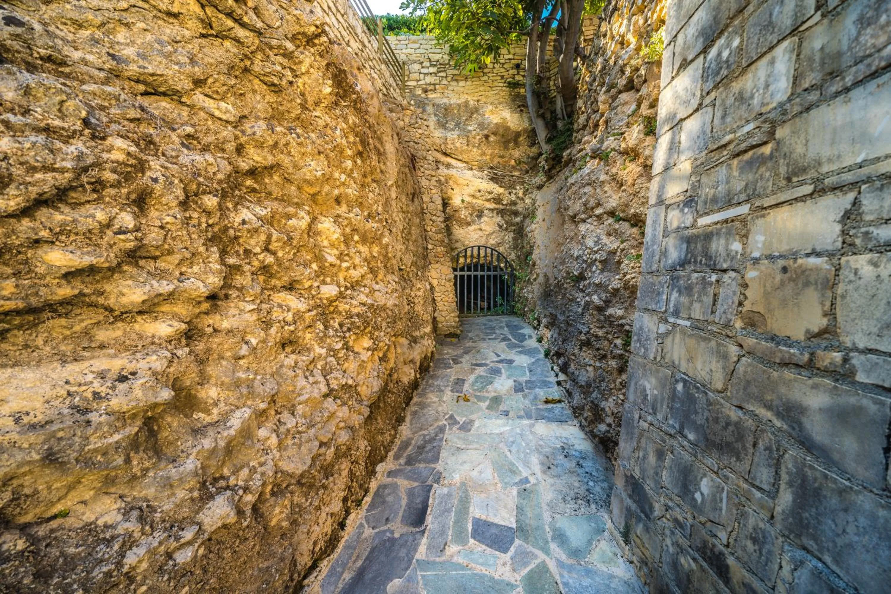 Area and facilities in Forest Park Hotel