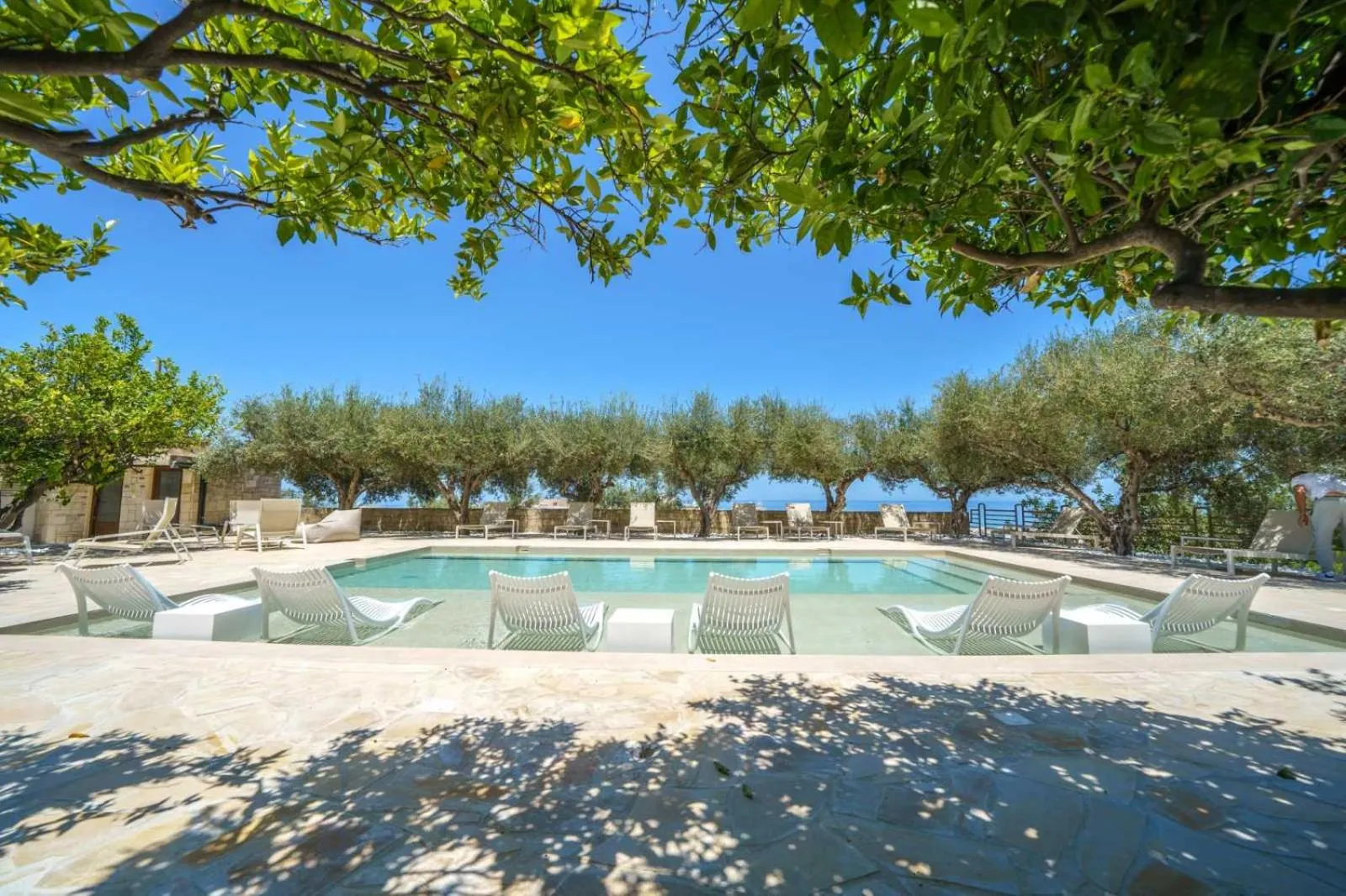 Swimming pool in Forest Park Hotel