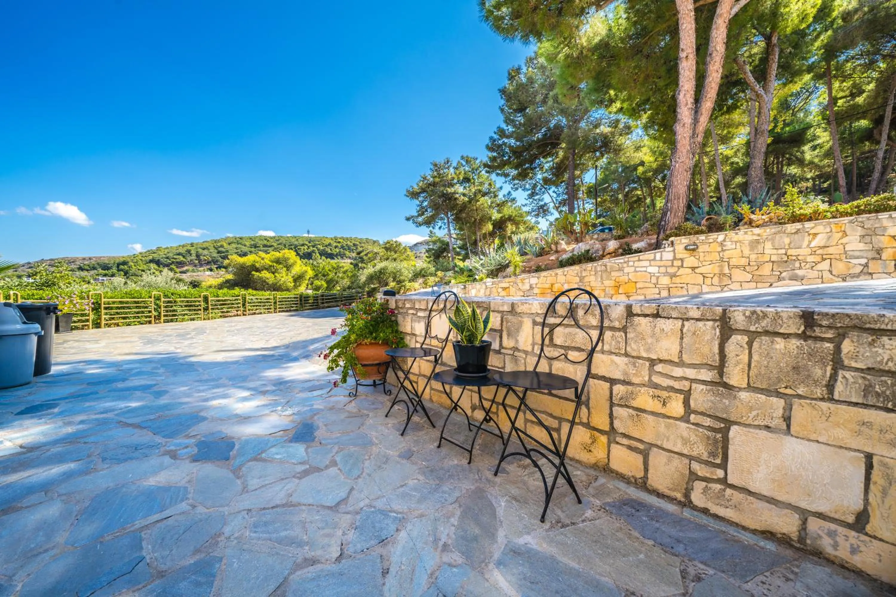 Patio in Forest Park Hotel