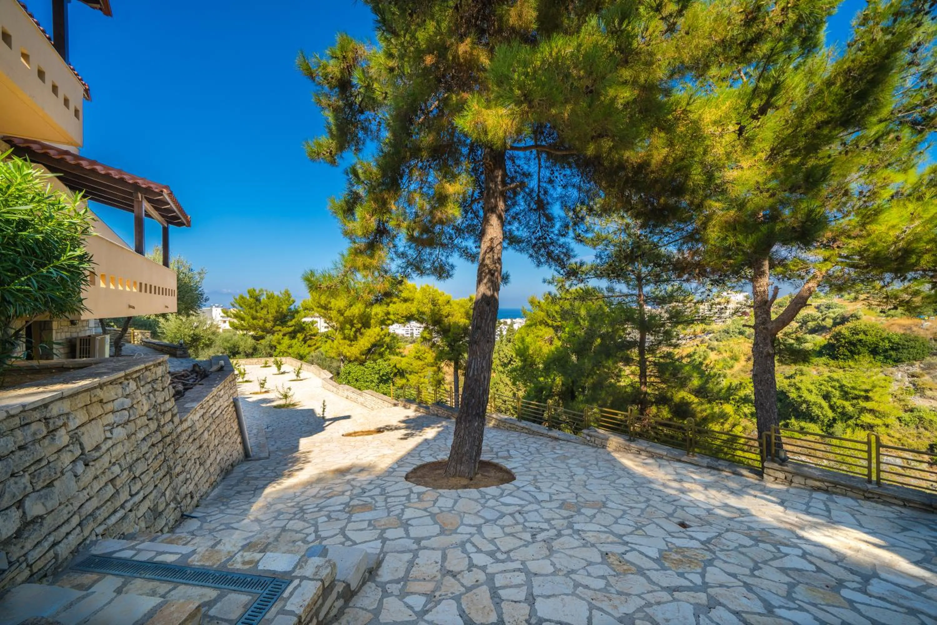 Area and facilities in Forest Park Hotel
