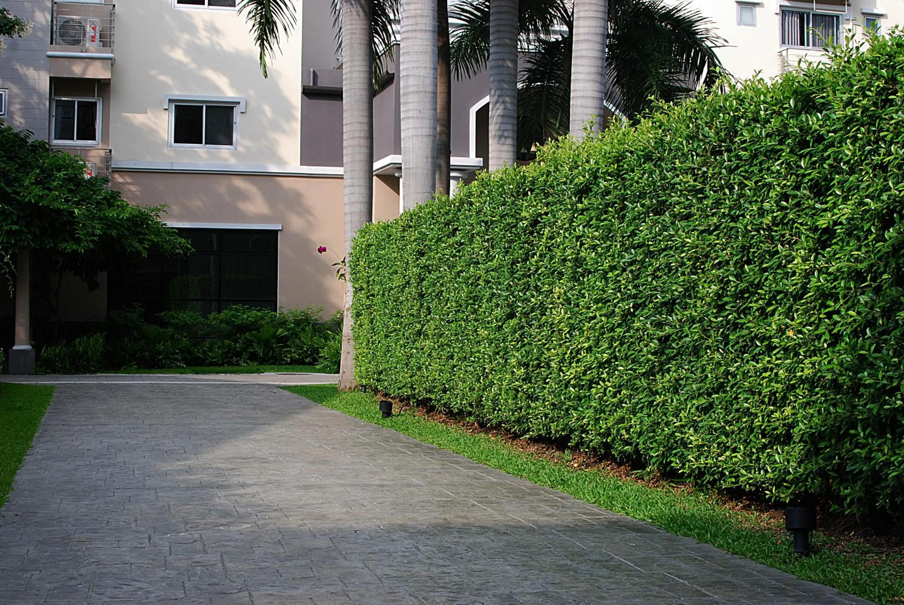 The Green View Hotel