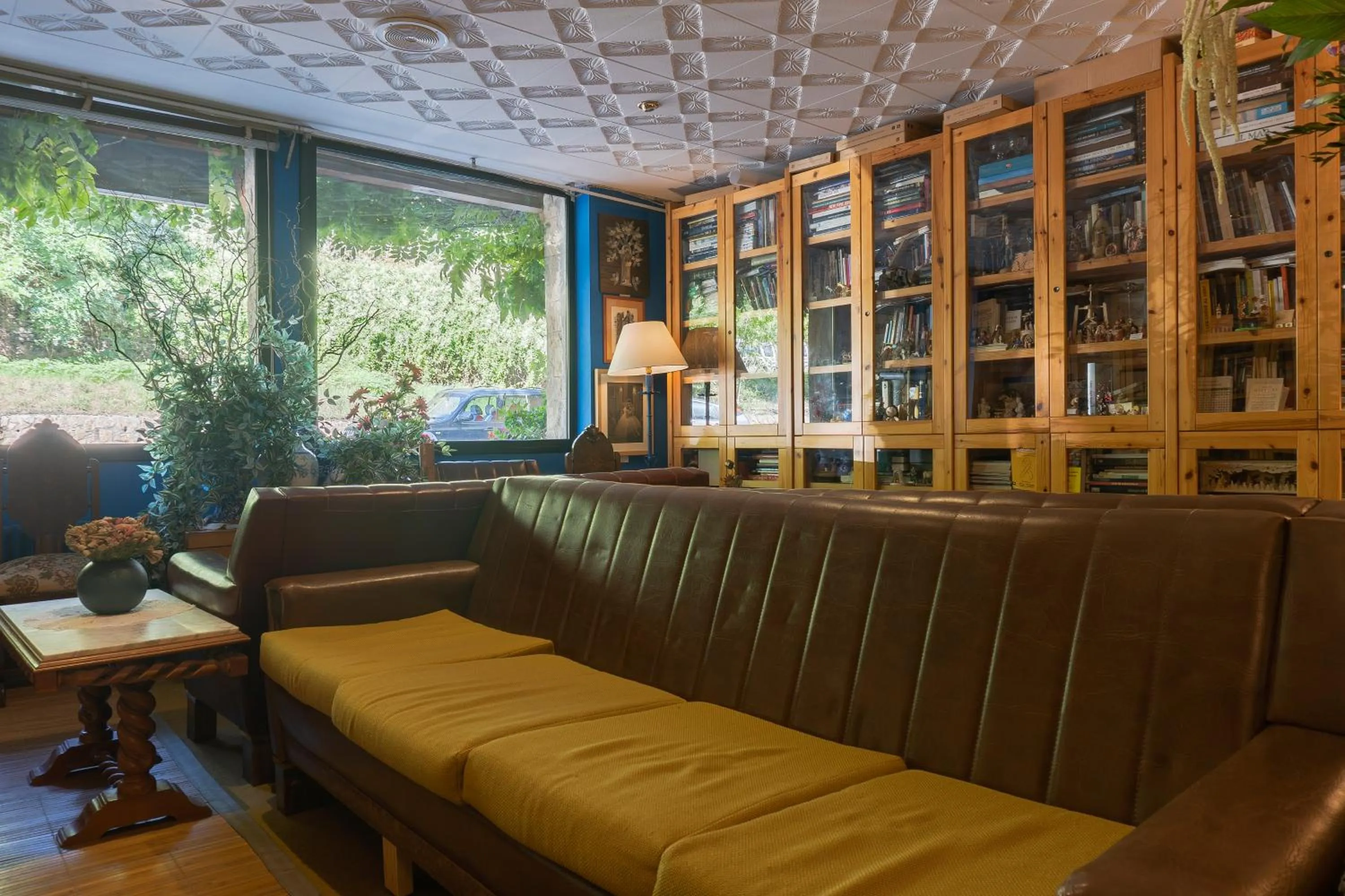 Library in Hotel Cardós
