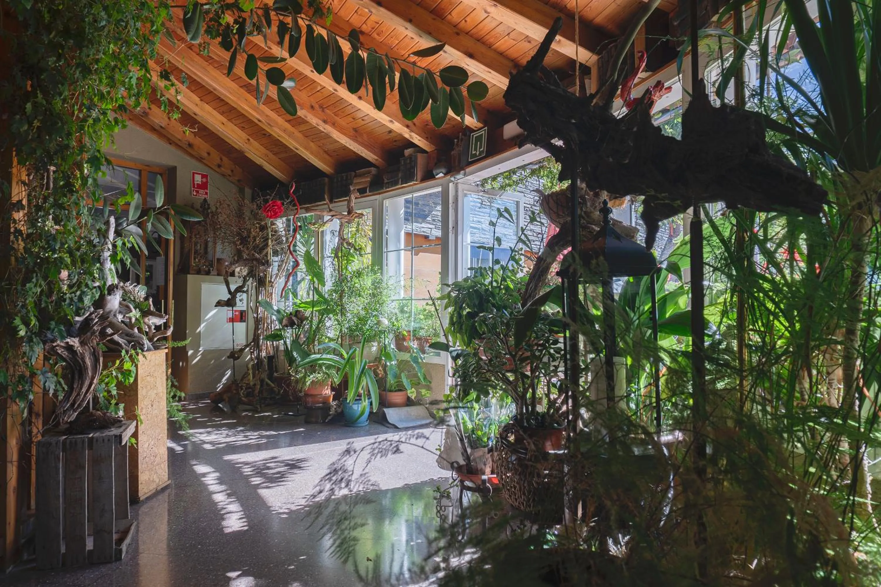 Property building in Hotel Cardós