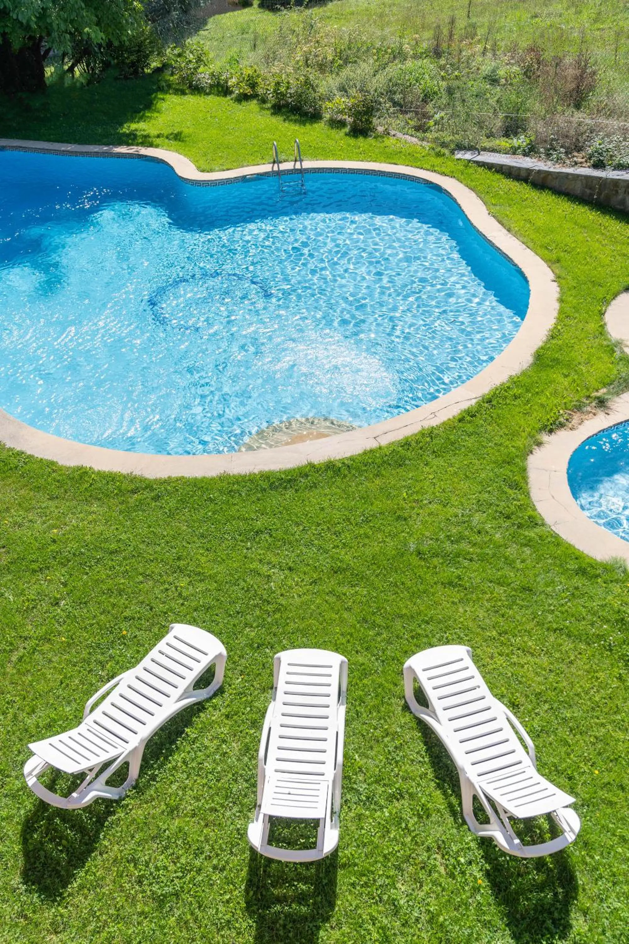 Garden in Hotel Cardós