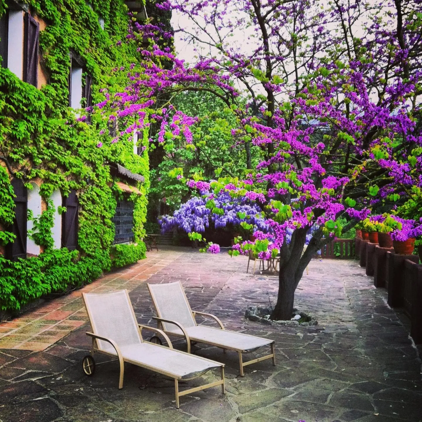 Property building in Masia Vista Hermosa