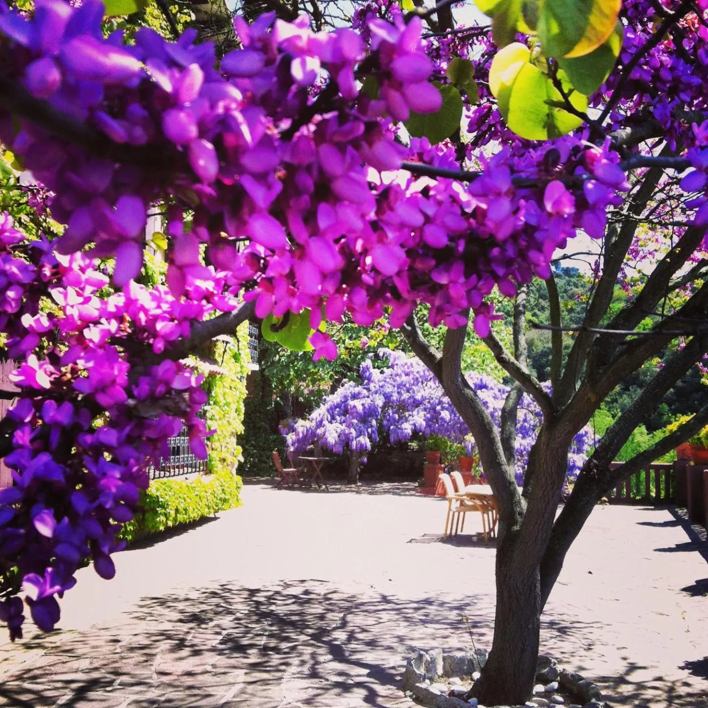 Other in Masia Vista Hermosa