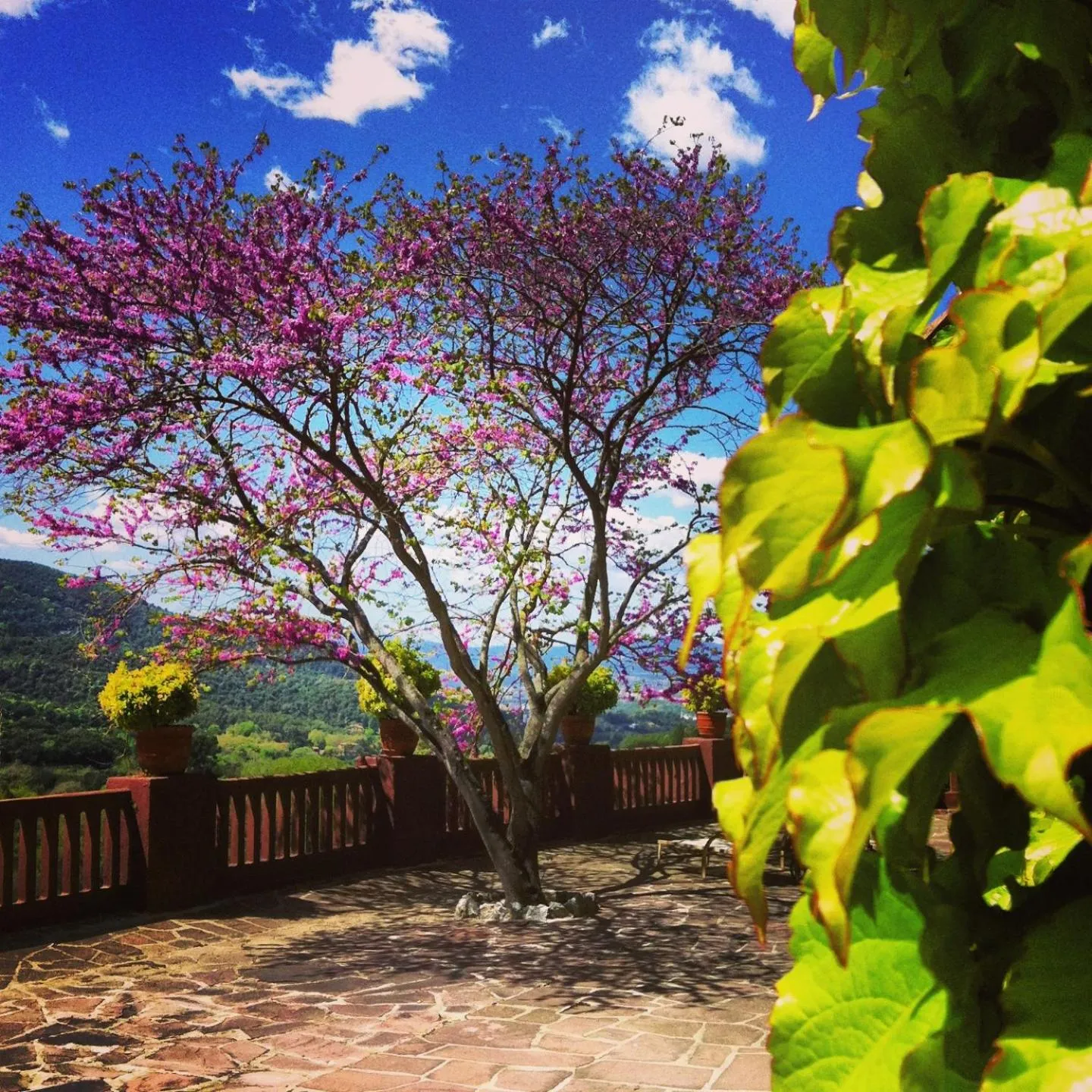 Other in Masia Vista Hermosa