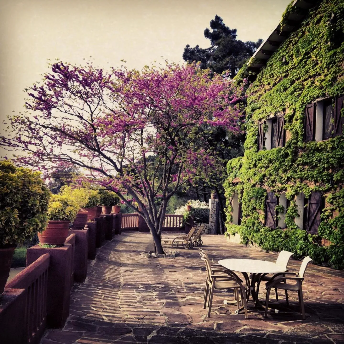 Facade/entrance in Masia Vista Hermosa