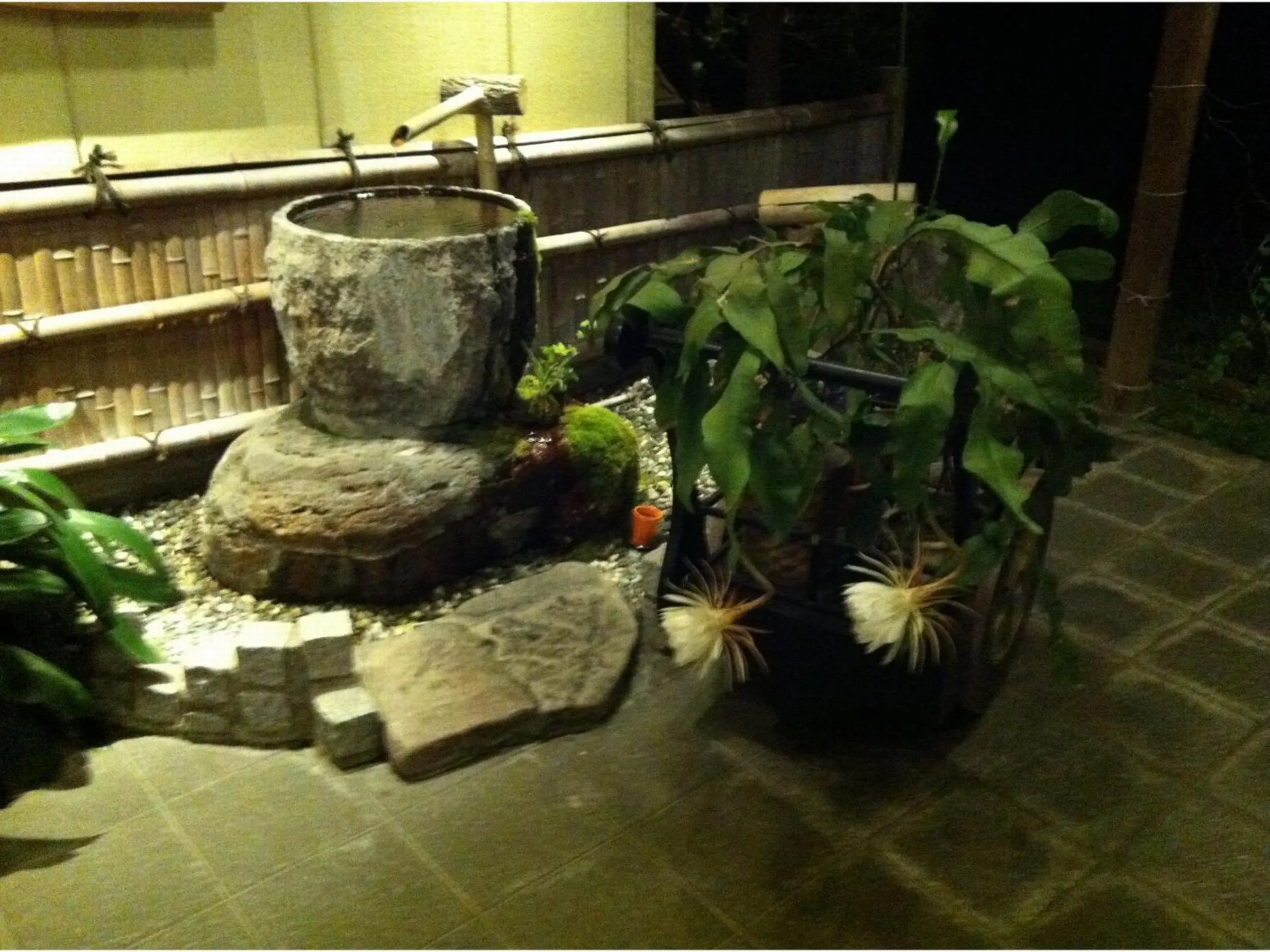 Summer in Kazen no Sho