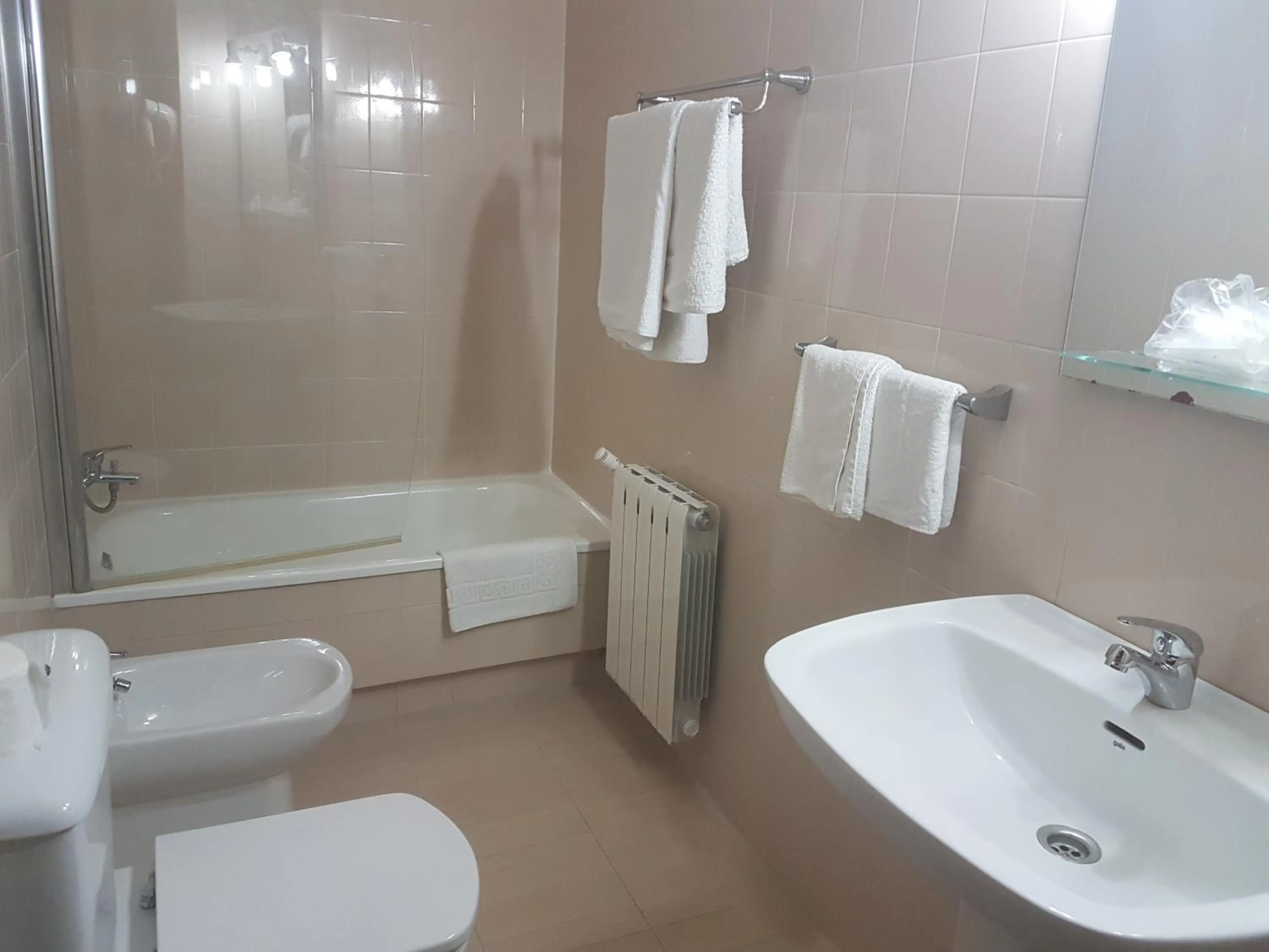 Toilet in Hotel Spa Galatea