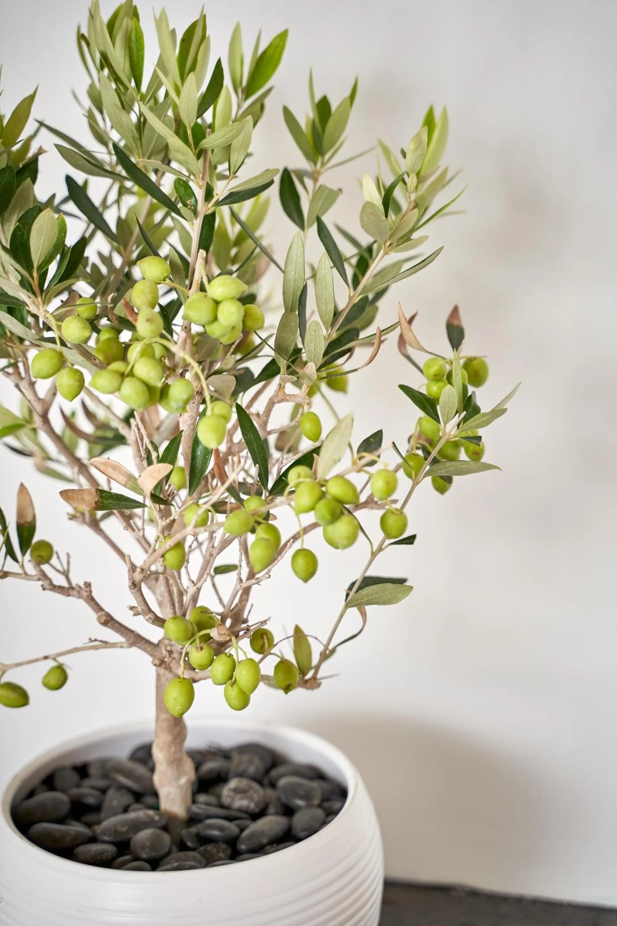 Decorative detail in Agali Houses