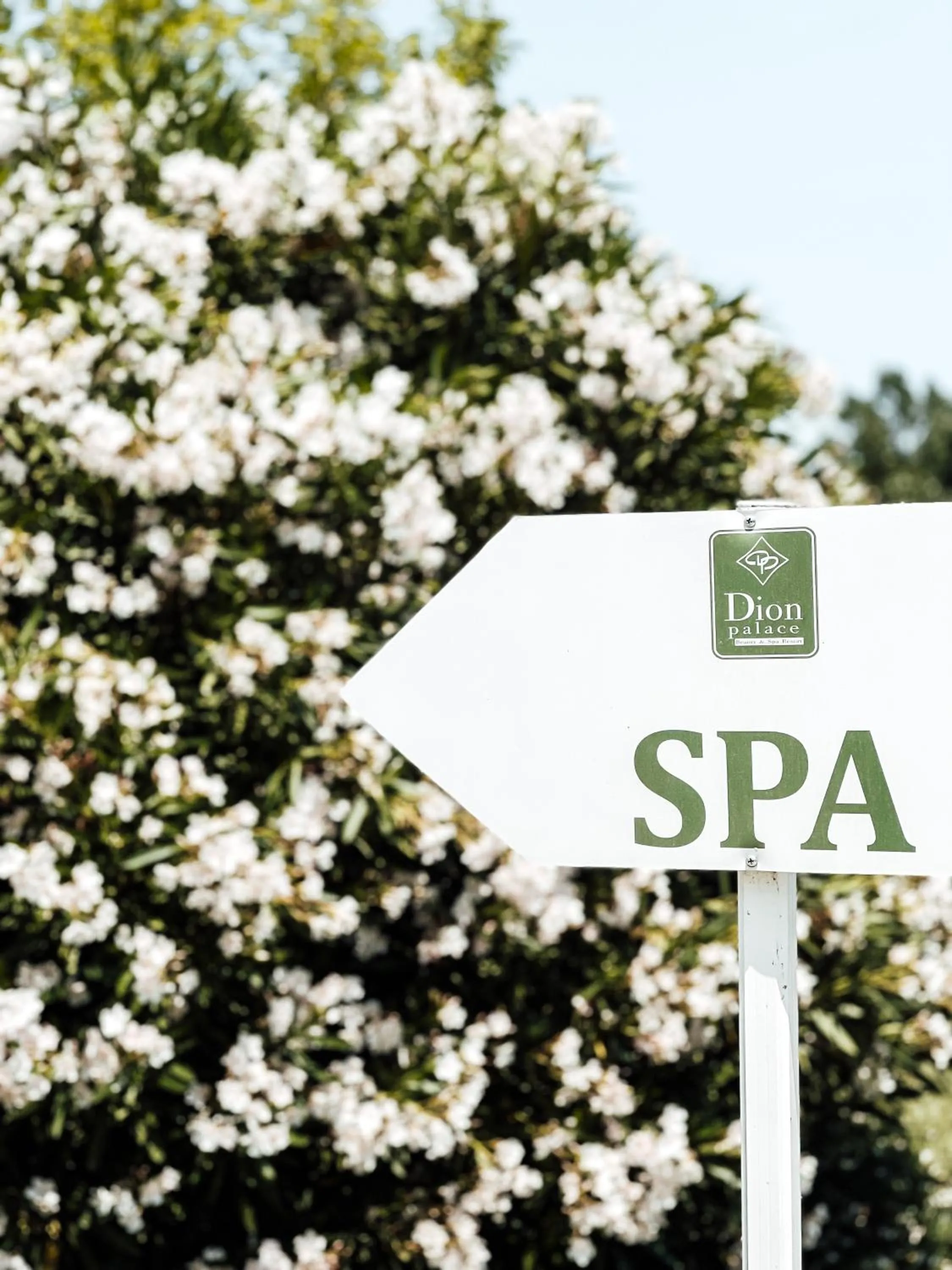 Property logo or sign in Dion Palace Resort and Spa