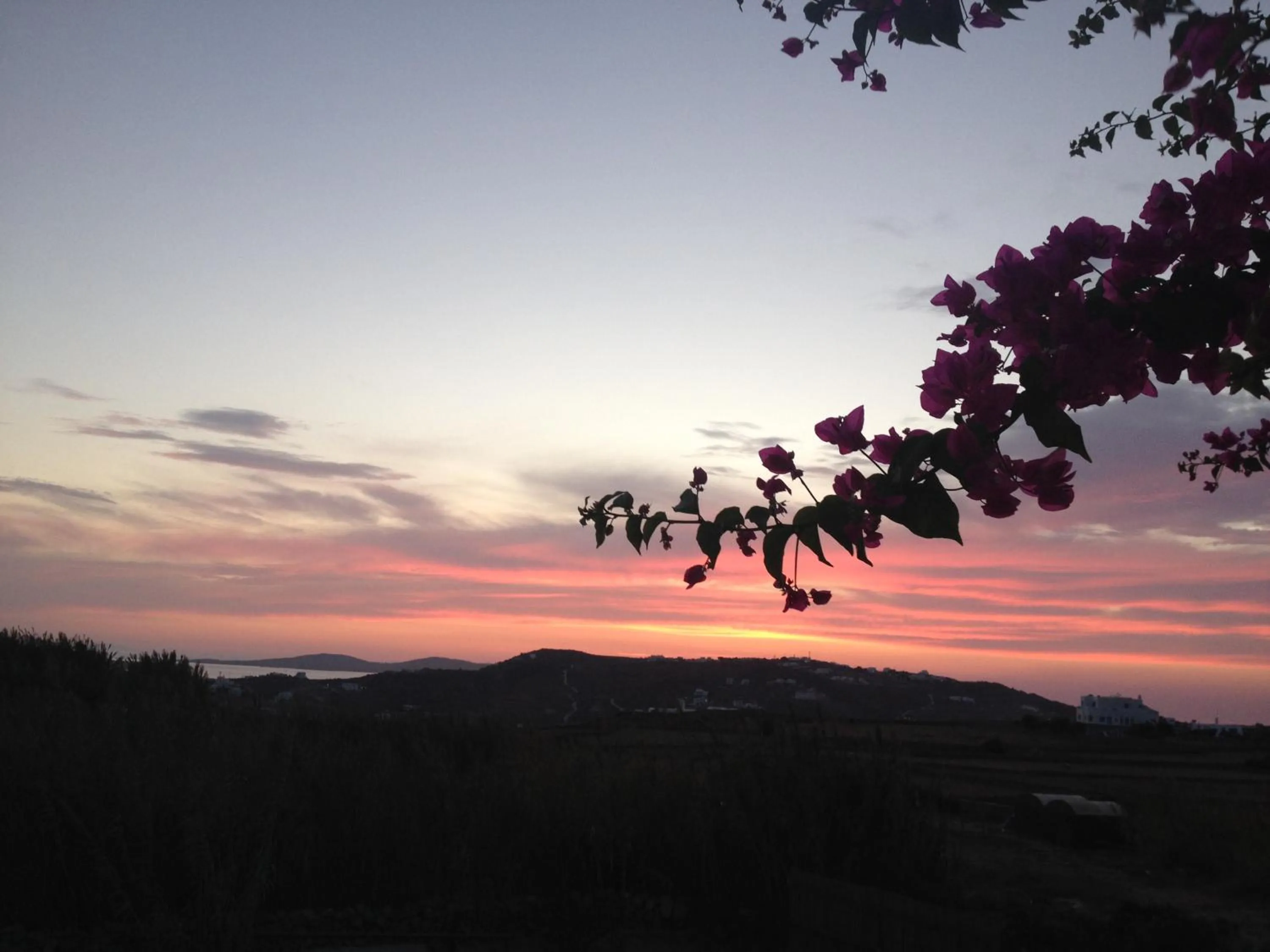 Natural landscape in La Stella Stay