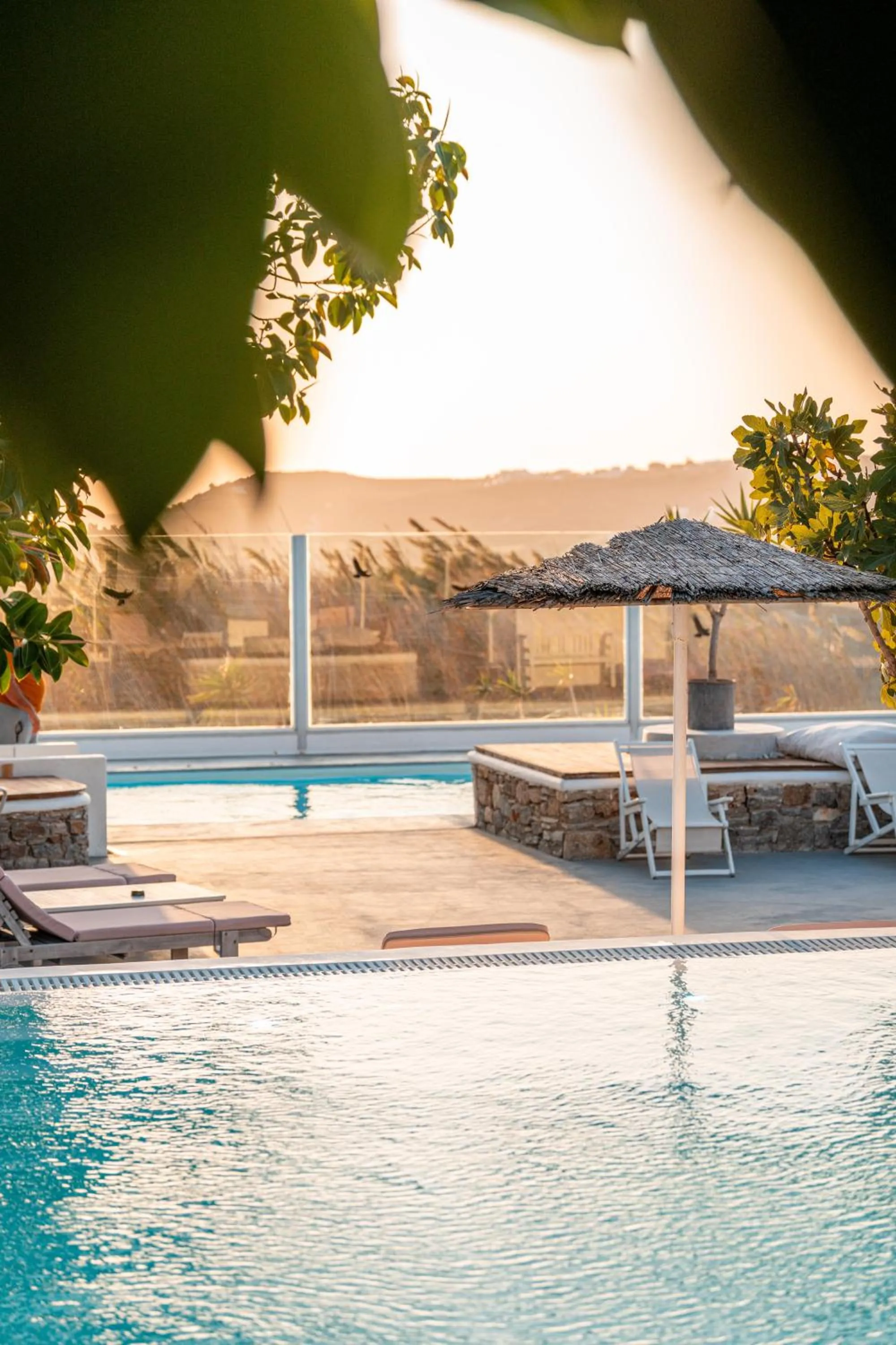 Swimming pool in La Stella Stay