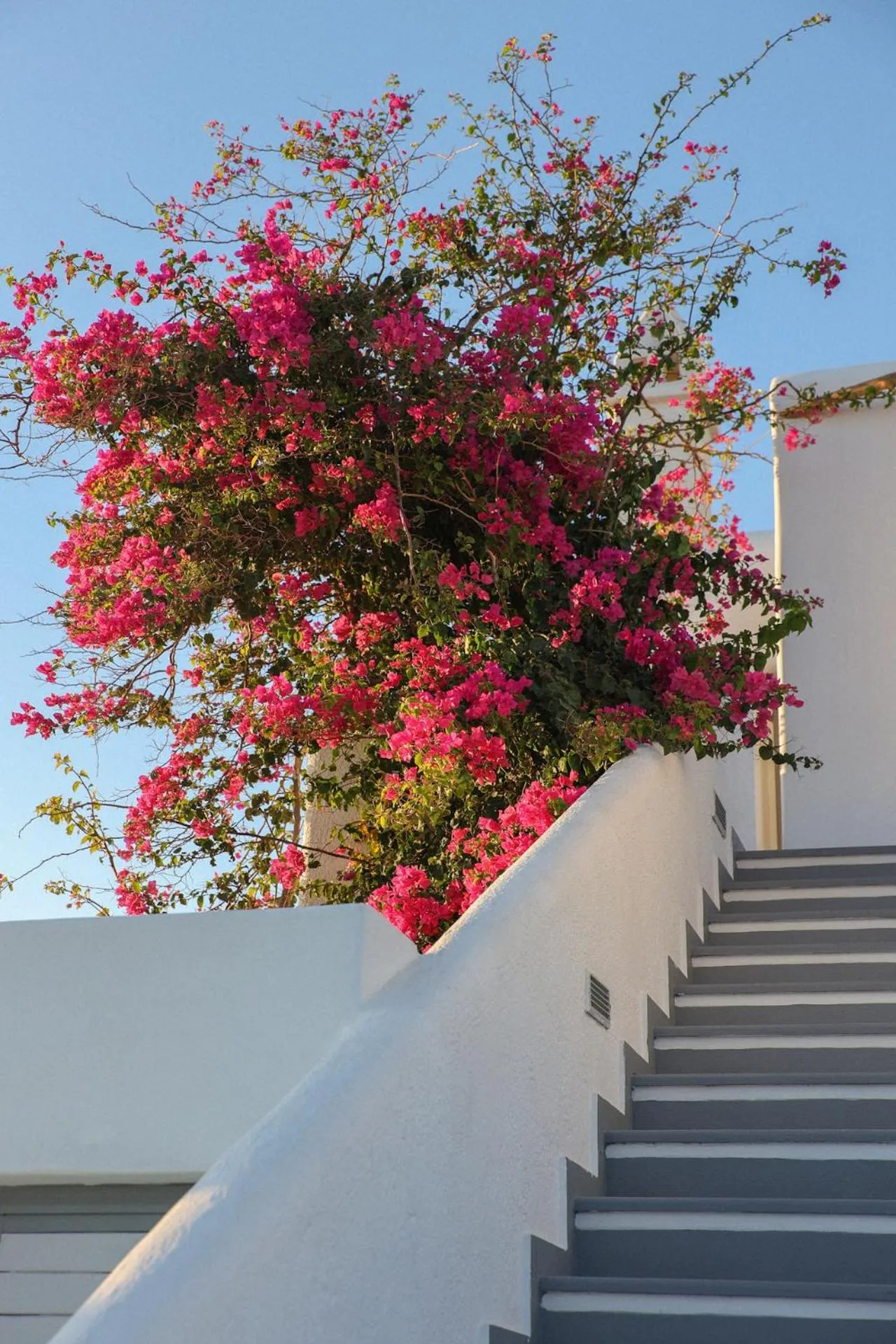 Garden in La Stella Stay