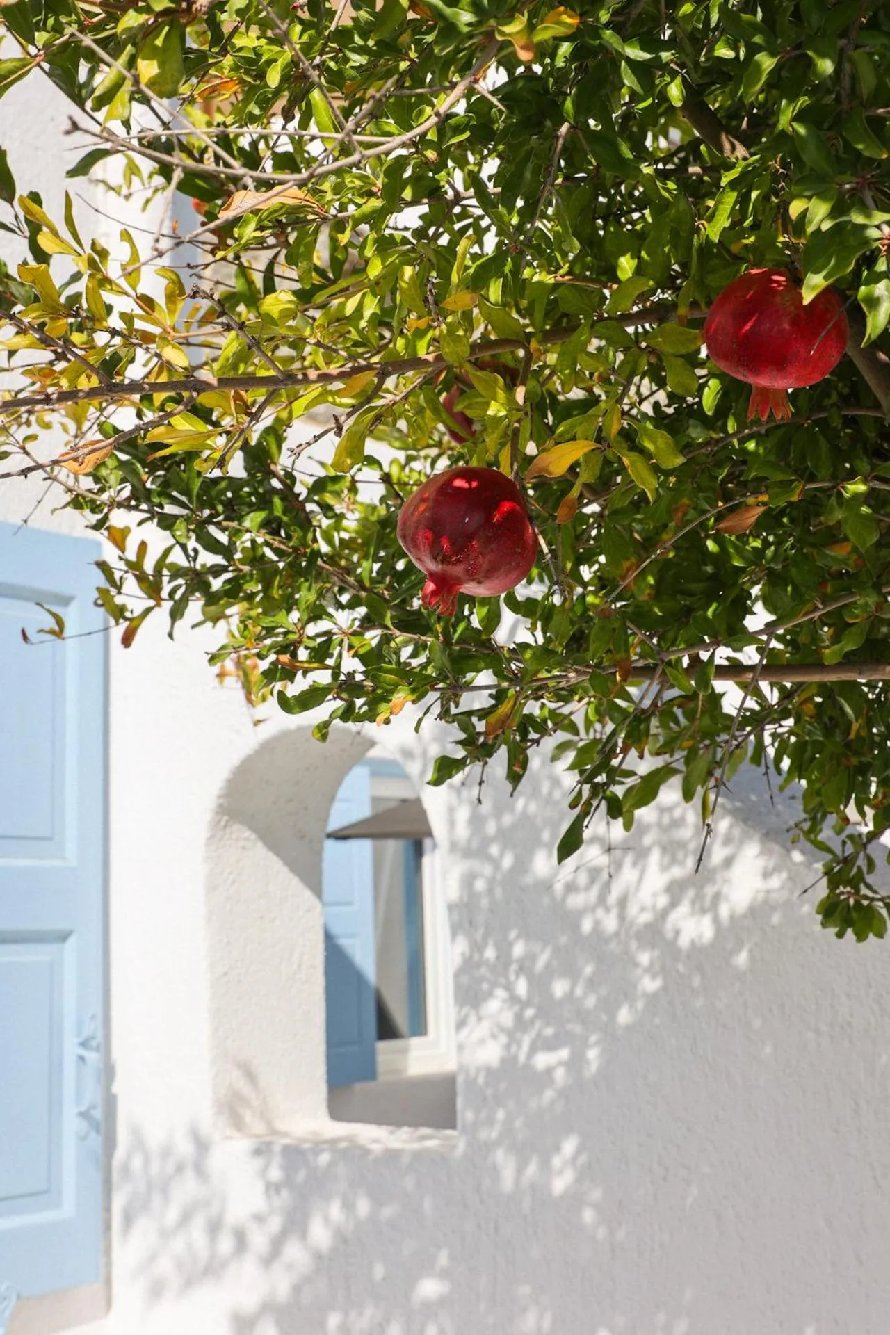 Garden in La Stella Stay