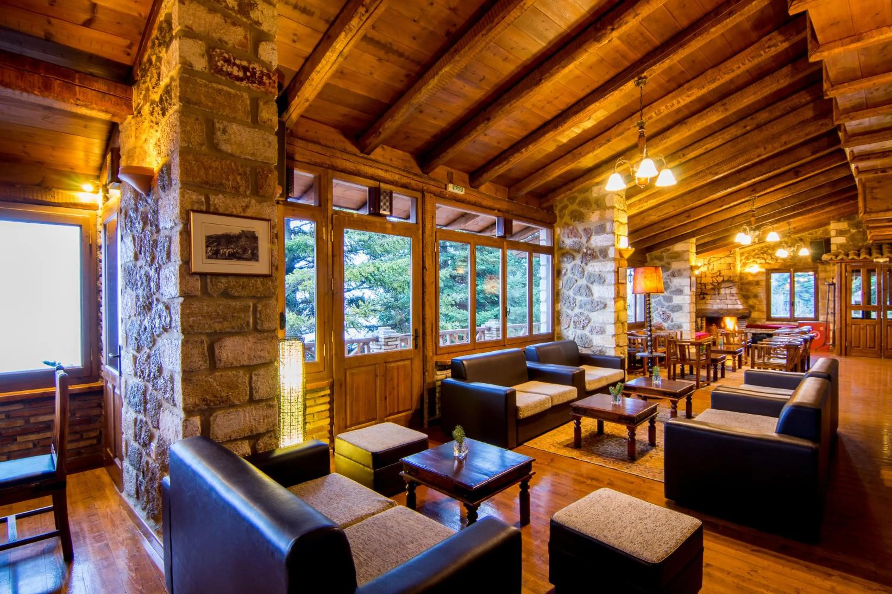 Lounge or bar in Pigi Tarlampa Hotel
