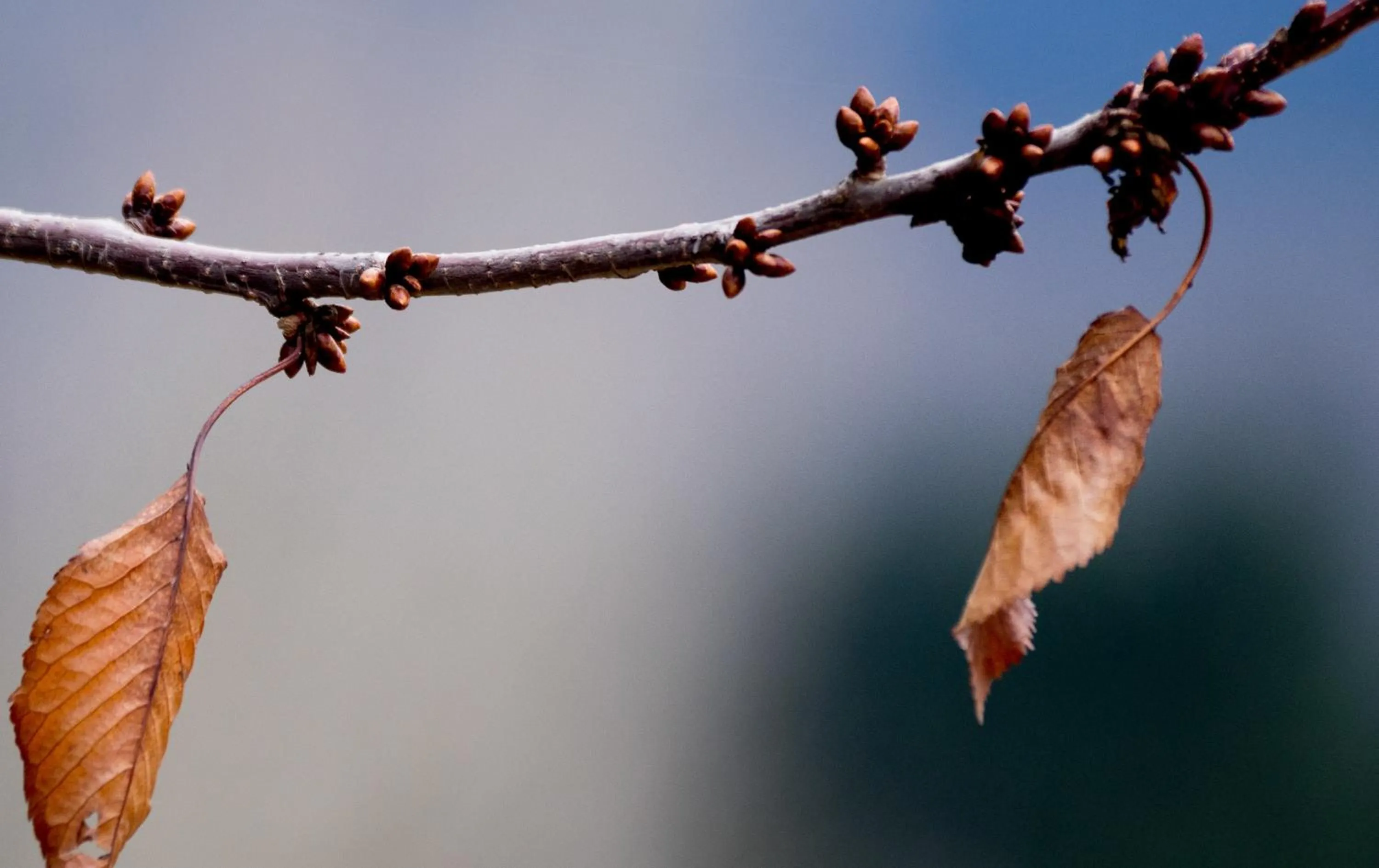Other in Pigi Tarlampa Hotel