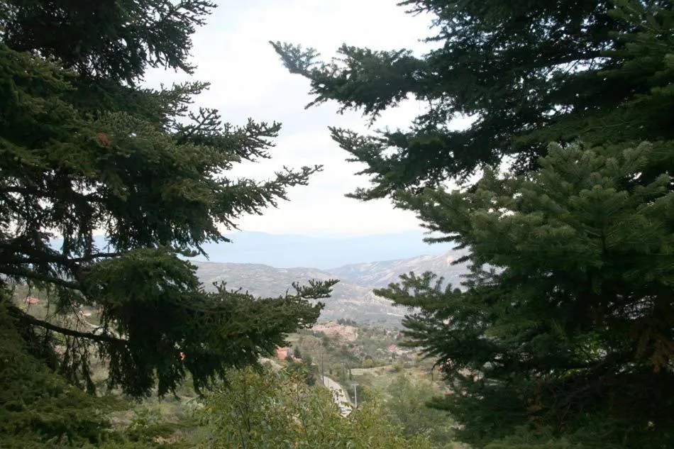 View (from property/room) in Pigi Tarlampa Hotel