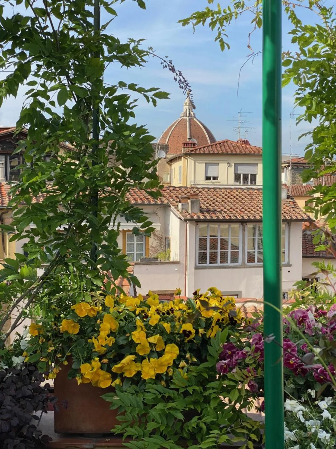 Balcony/Terrace in Hotel Hermitage