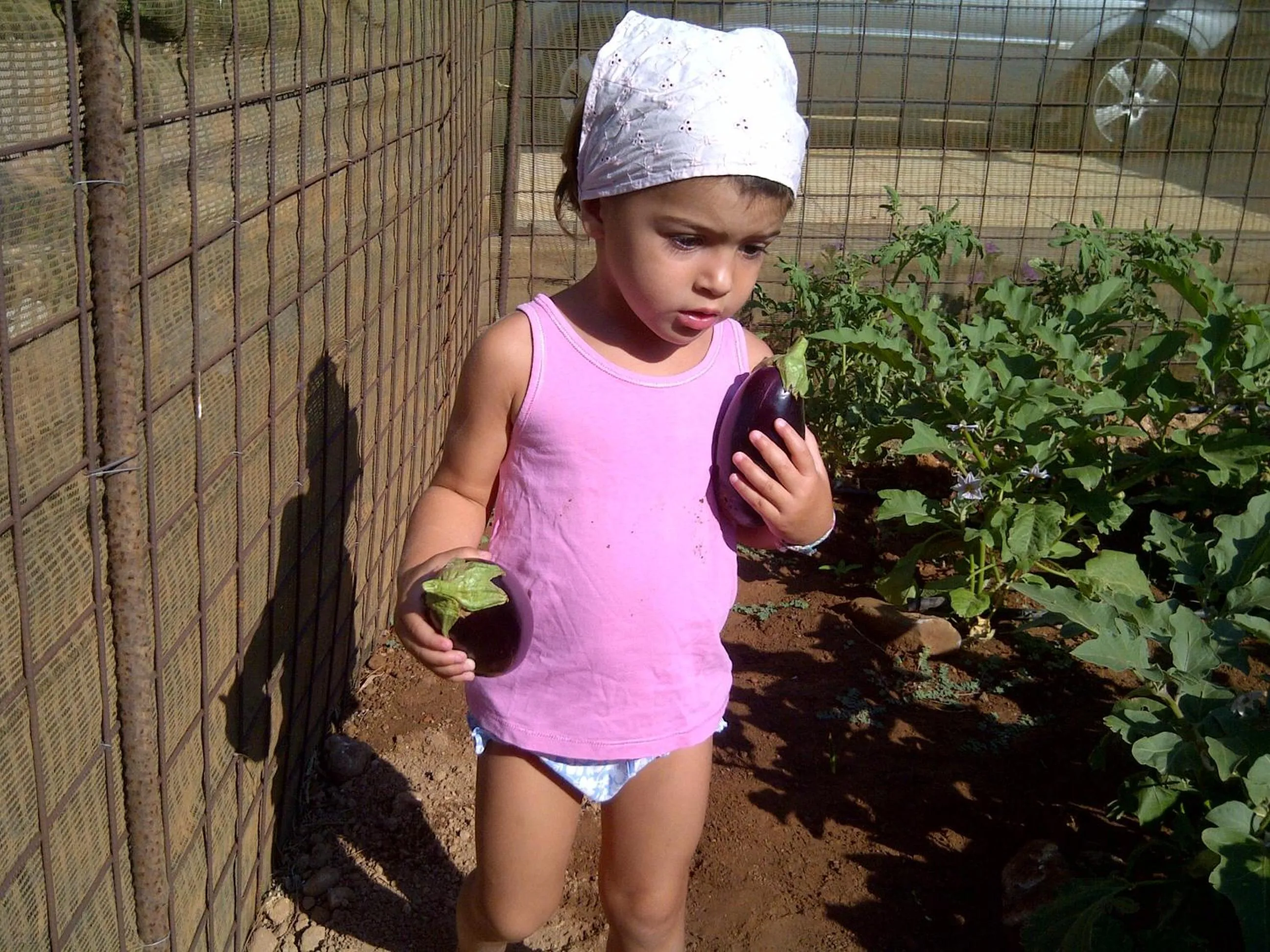 Garden in Kallicrates Village